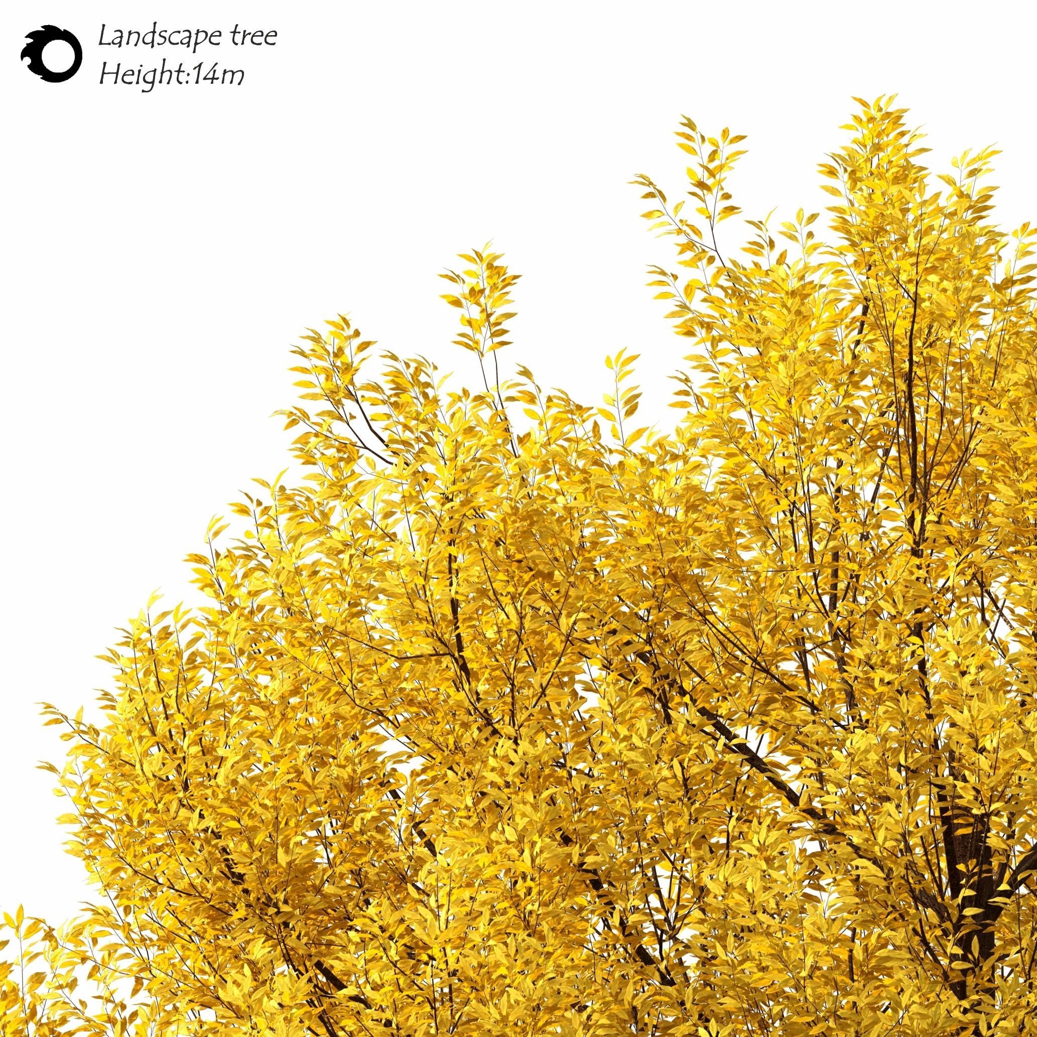 landscape tree 3D model_2