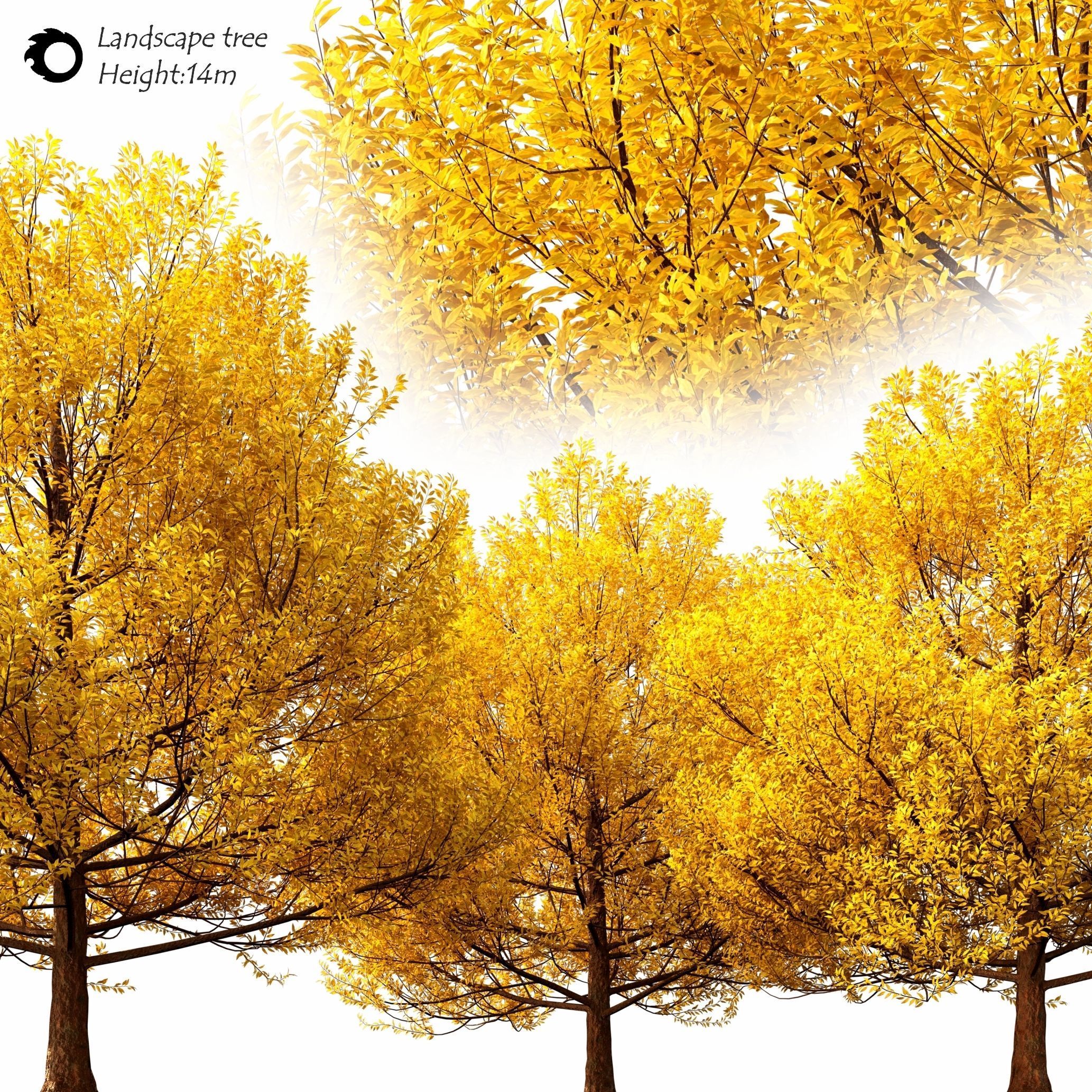 landscape tree 3D model_1