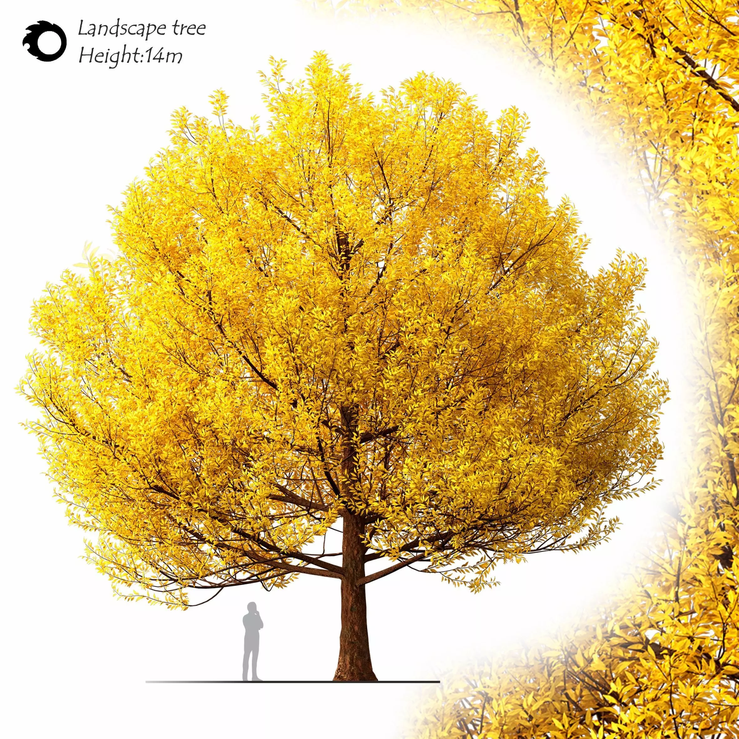 landscape tree 3D model_0