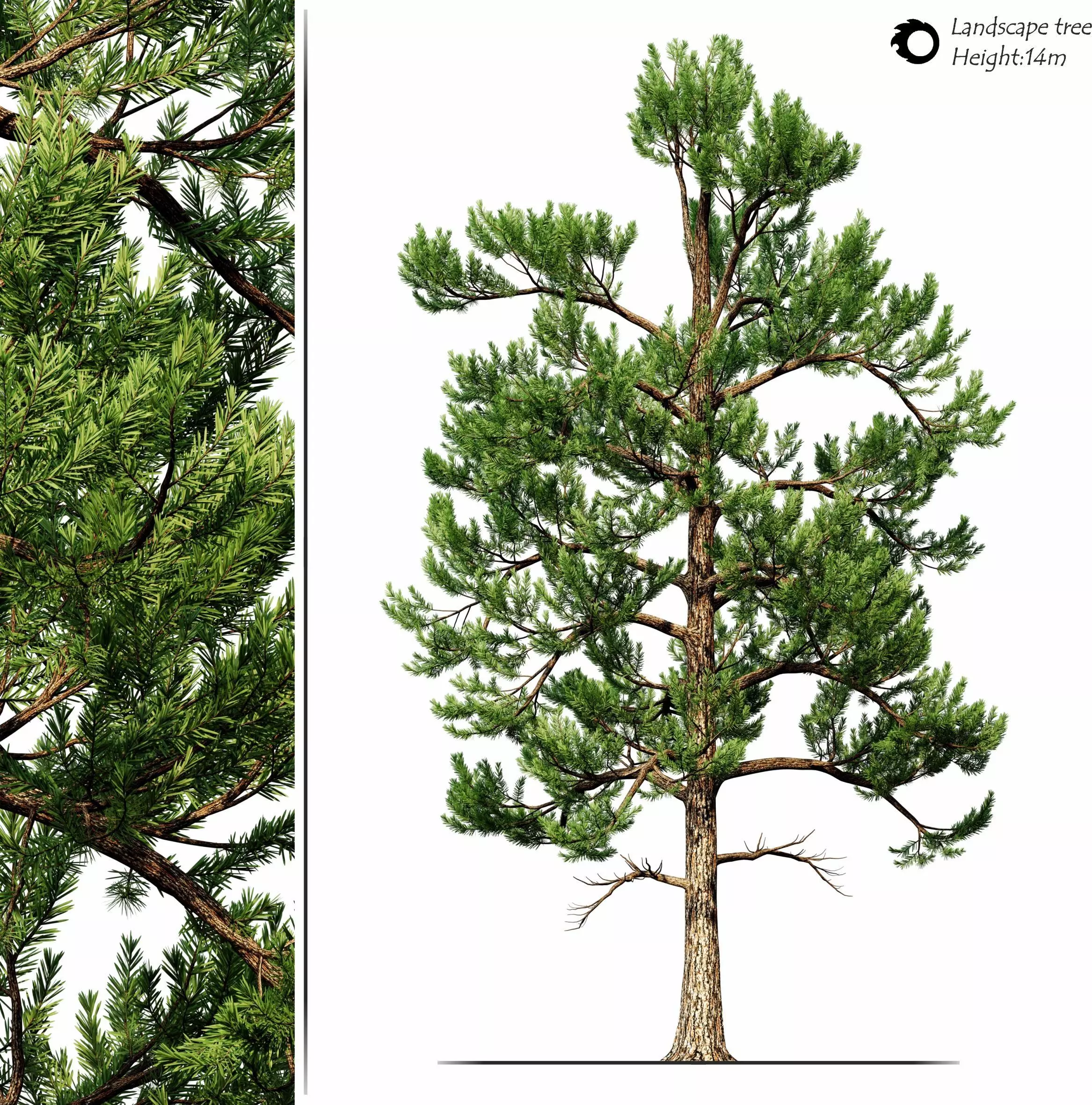 Landscape tree 3D model_0