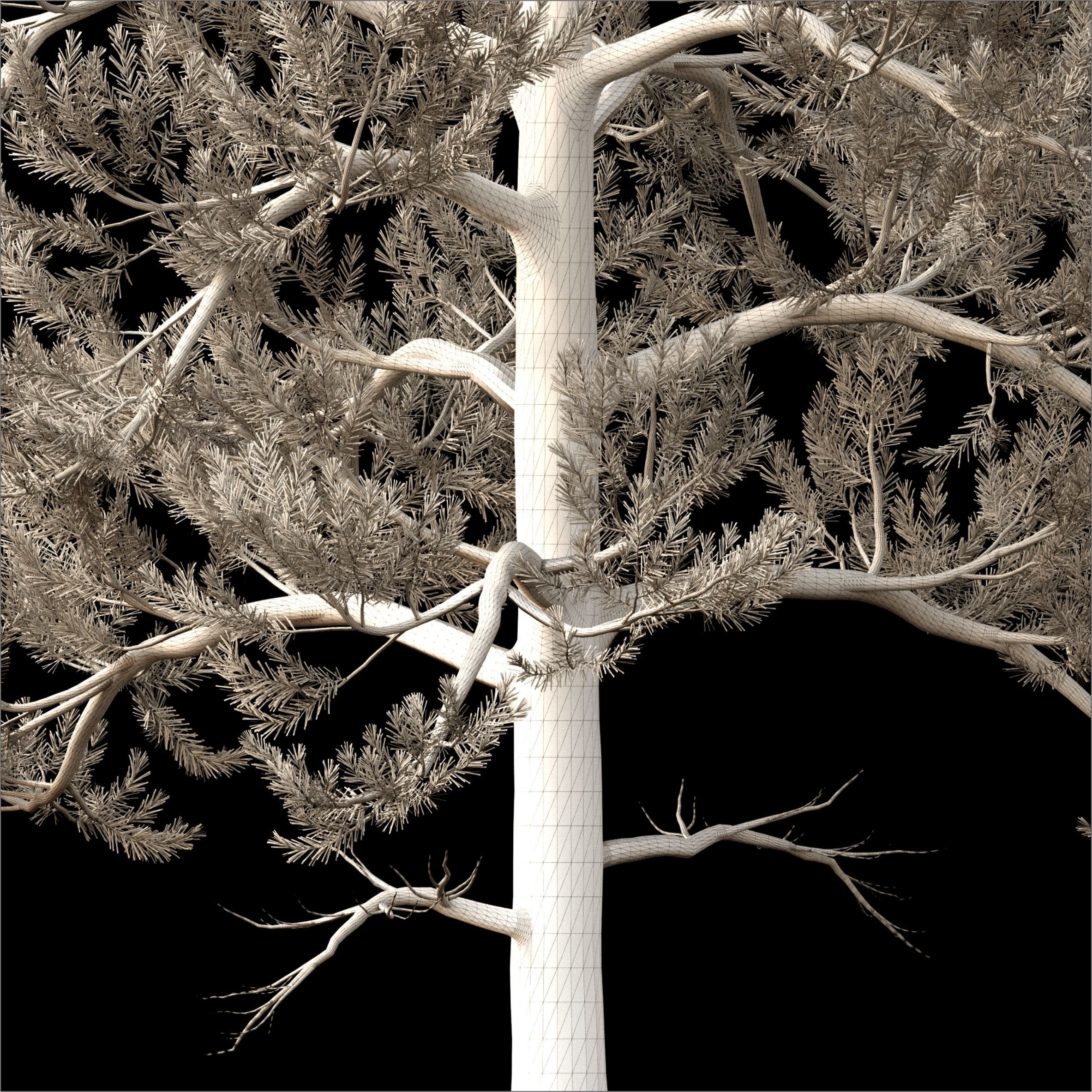 Landscape tree 3D model_2