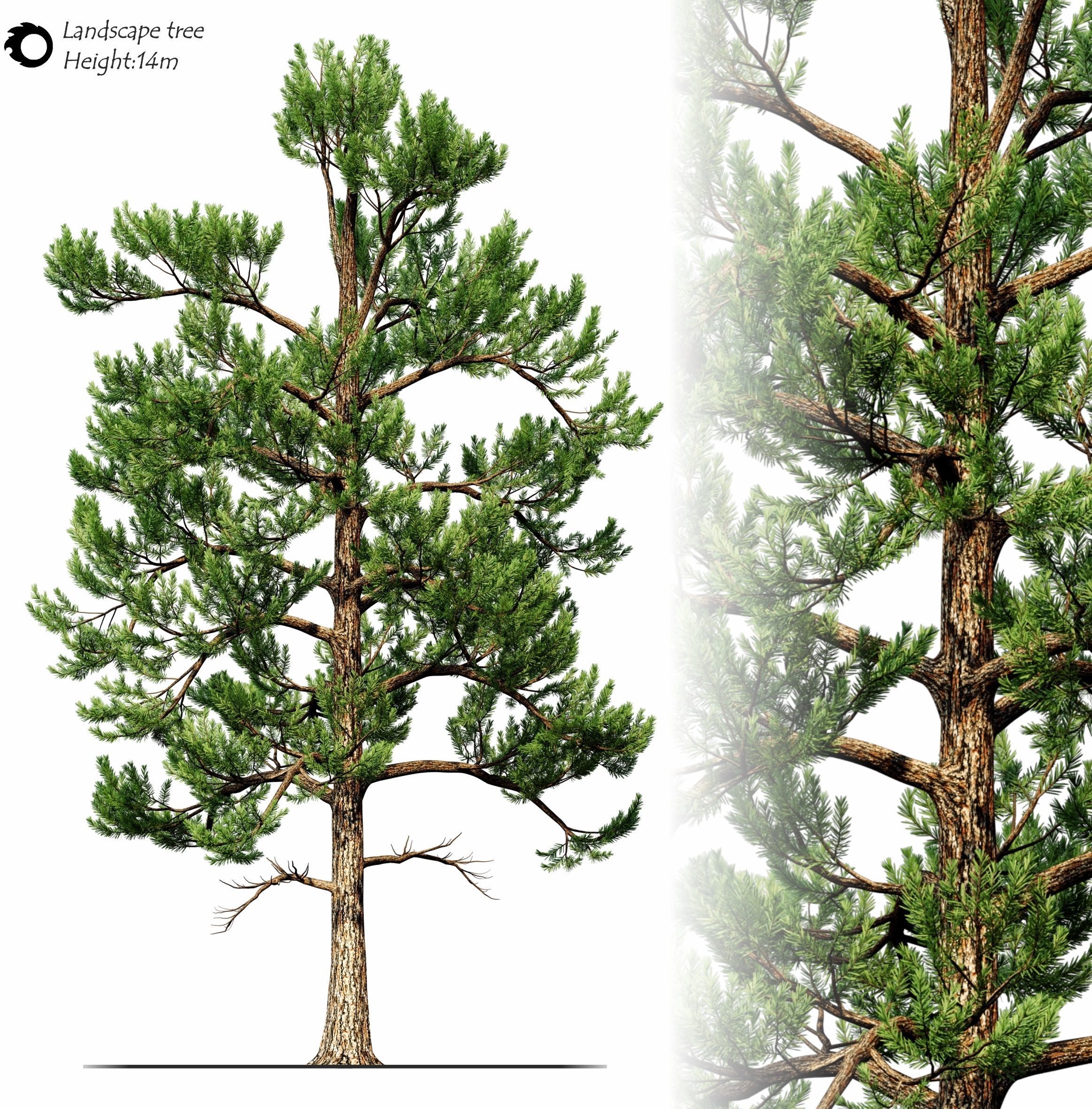 Landscape tree 3D model_1