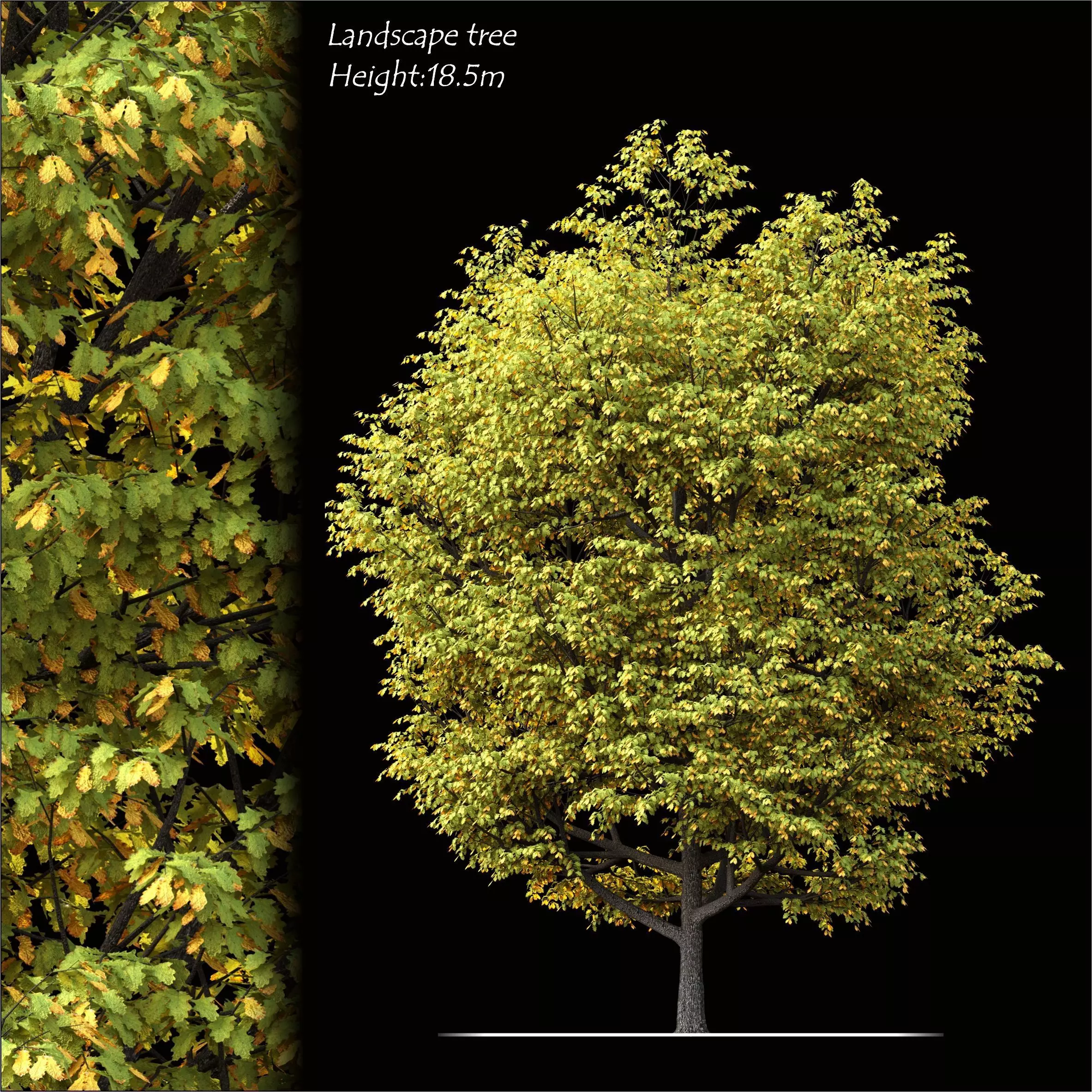 Landscape tree 3D model_0