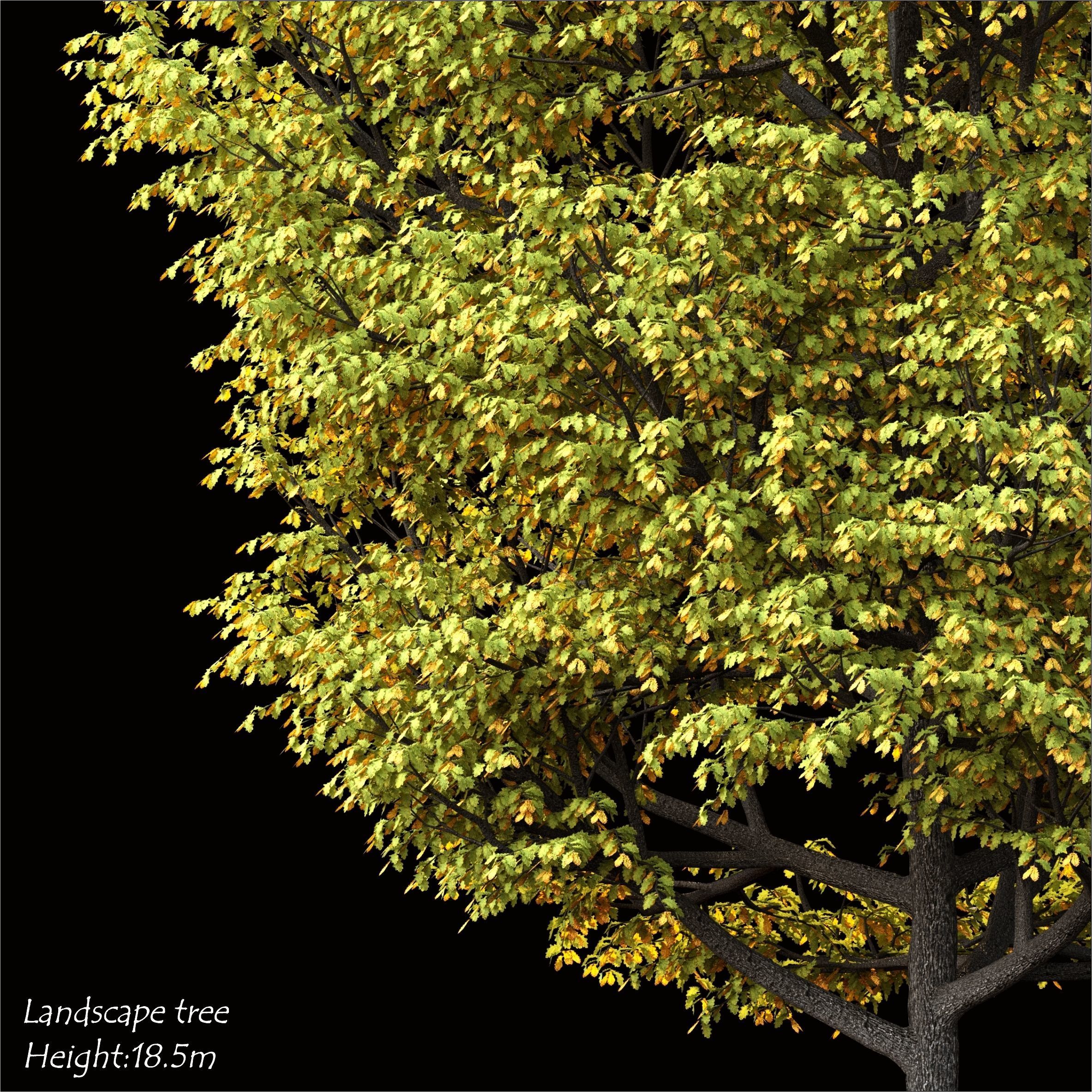 Landscape tree 3D model_1