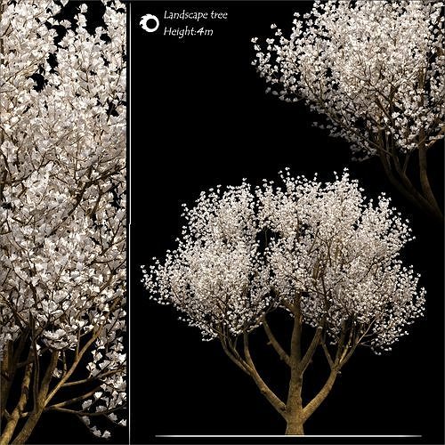 Landscape tree 3D model