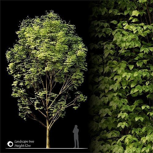 Landscape tree 3D model