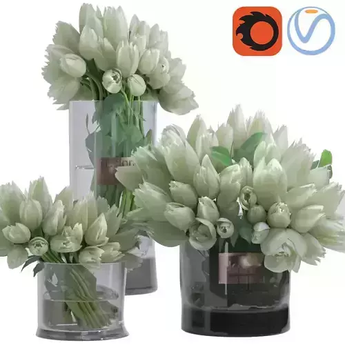 Elegant tulip Bouquet in Glass Vases Set Composition
