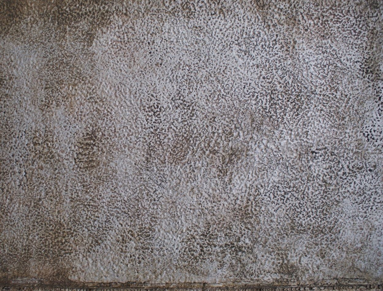 nano -automaton Low-poly 3D model_1