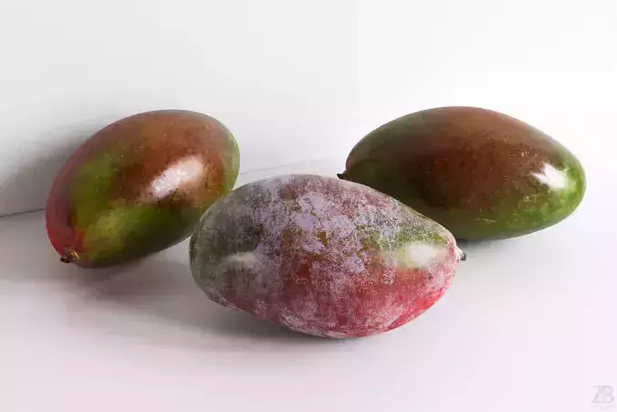 Mango 3D model