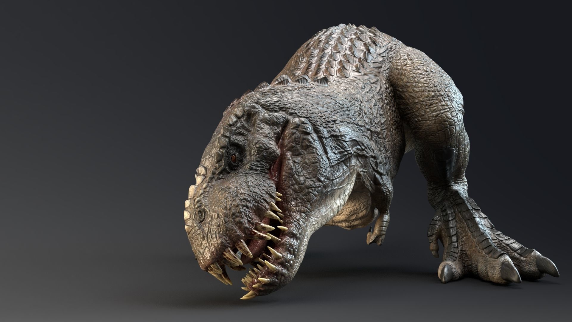 Dinosaur Theropod Rex Model Low-poly 3D model_22