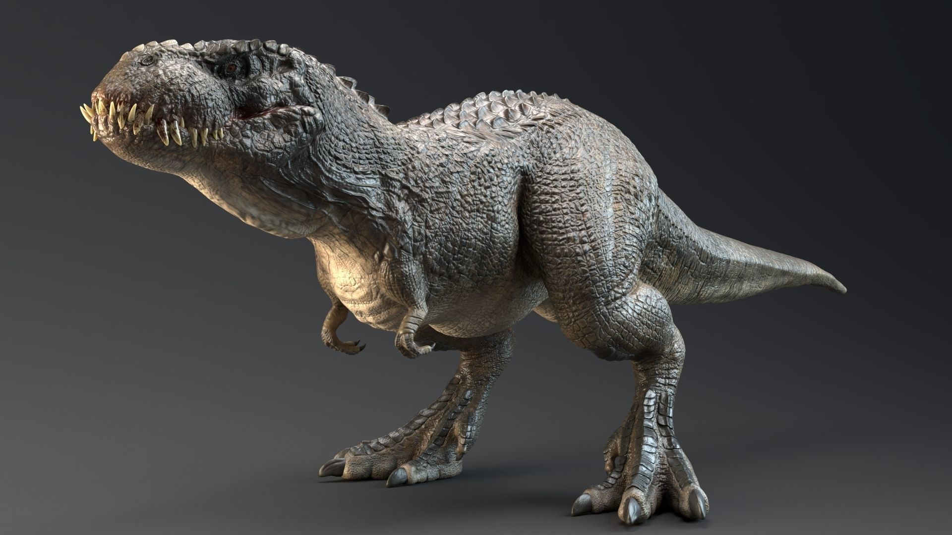 Dinosaur Theropod Rex Model Low-poly 3D model_12