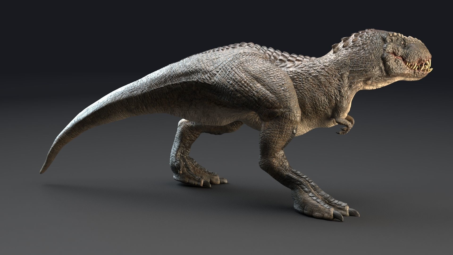 Dinosaur Theropod Rex Model Low-poly 3D model_15