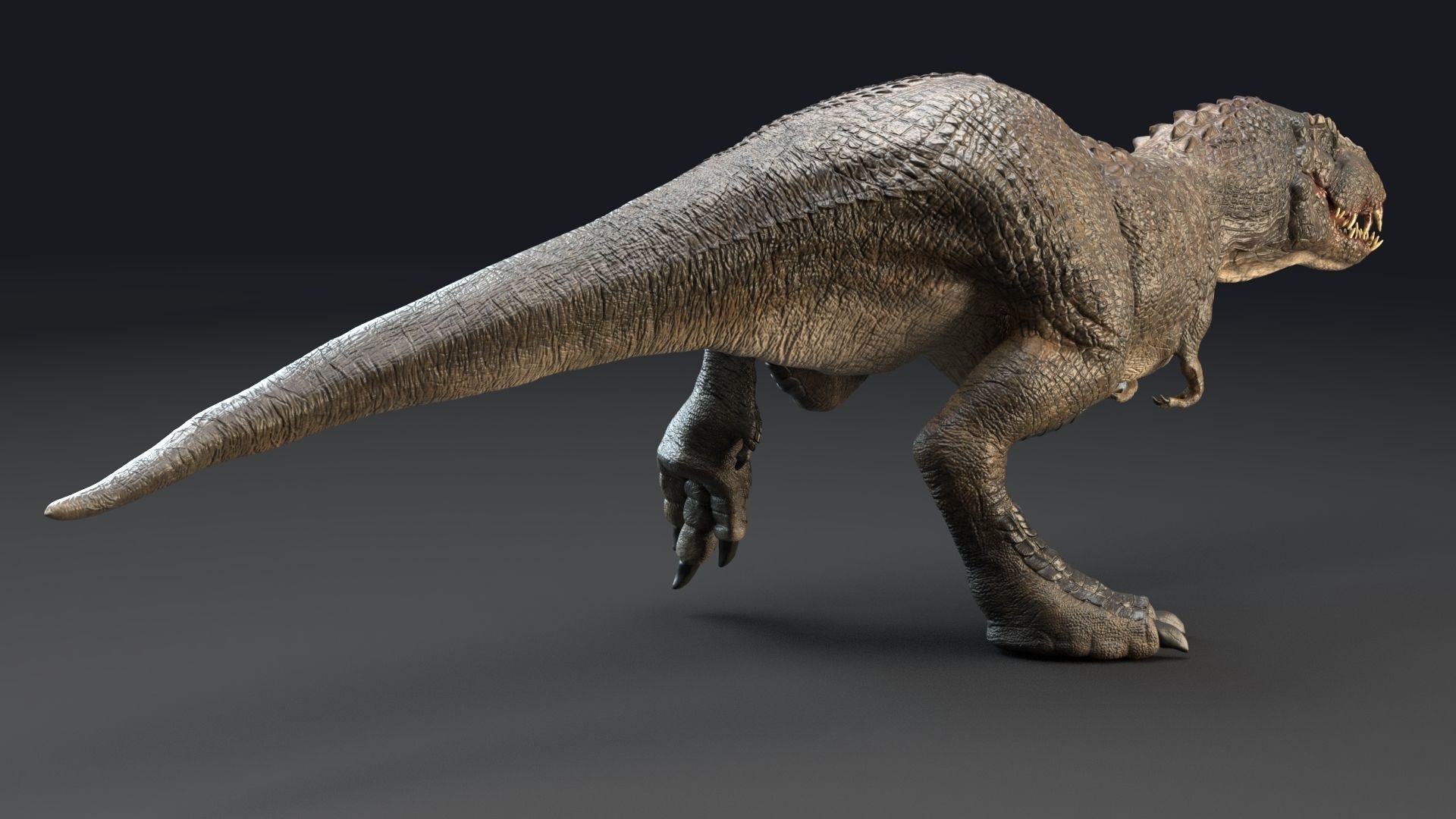 Dinosaur Theropod Rex Model Low-poly 3D model_18