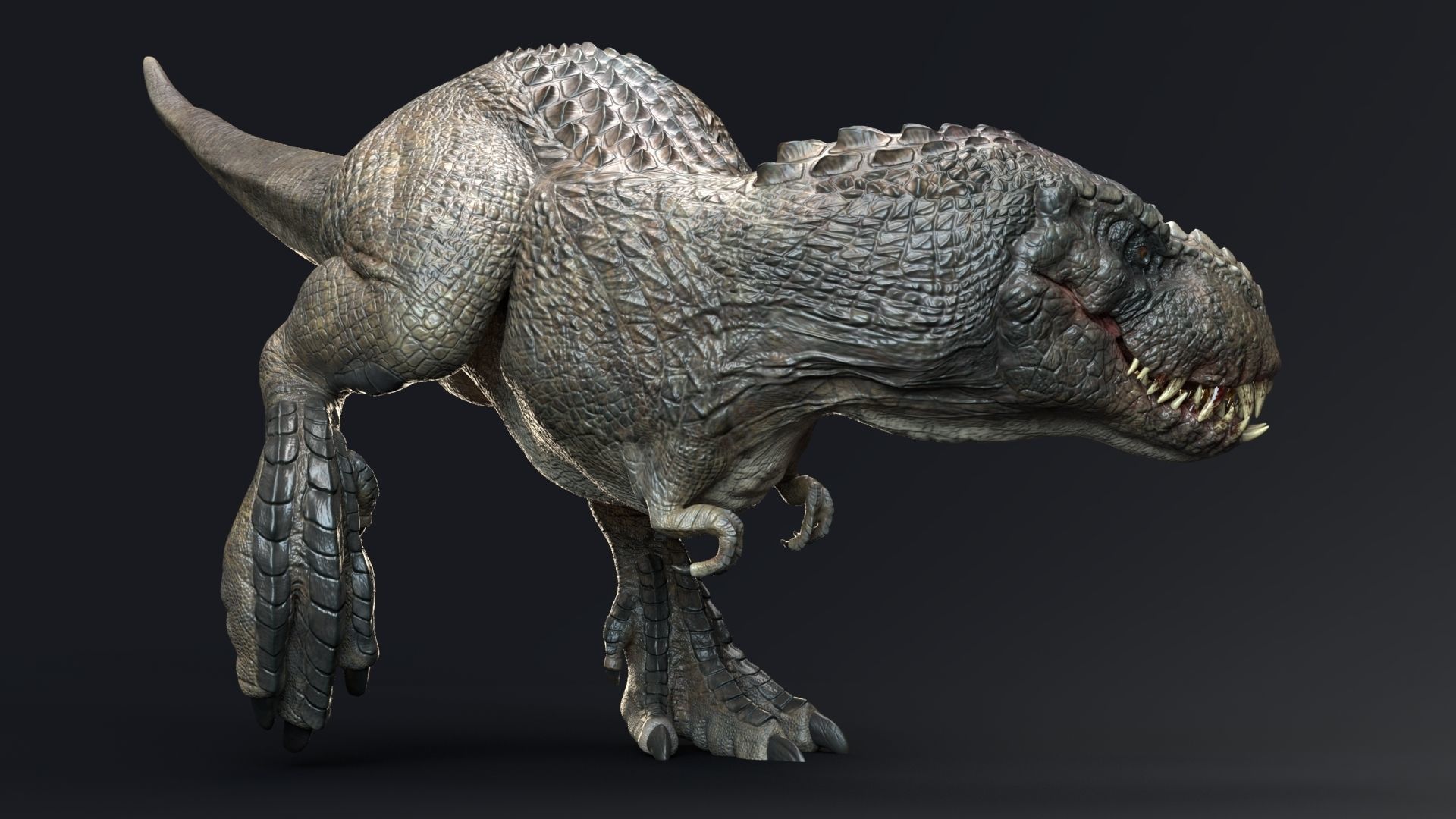 Dinosaur Theropod Rex Model Low-poly 3D model_25