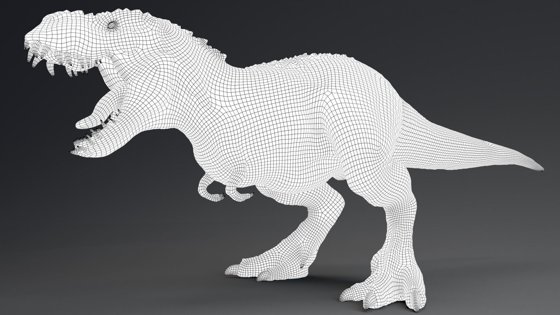 Dinosaur Theropod Rex Model Low-poly 3D model_36