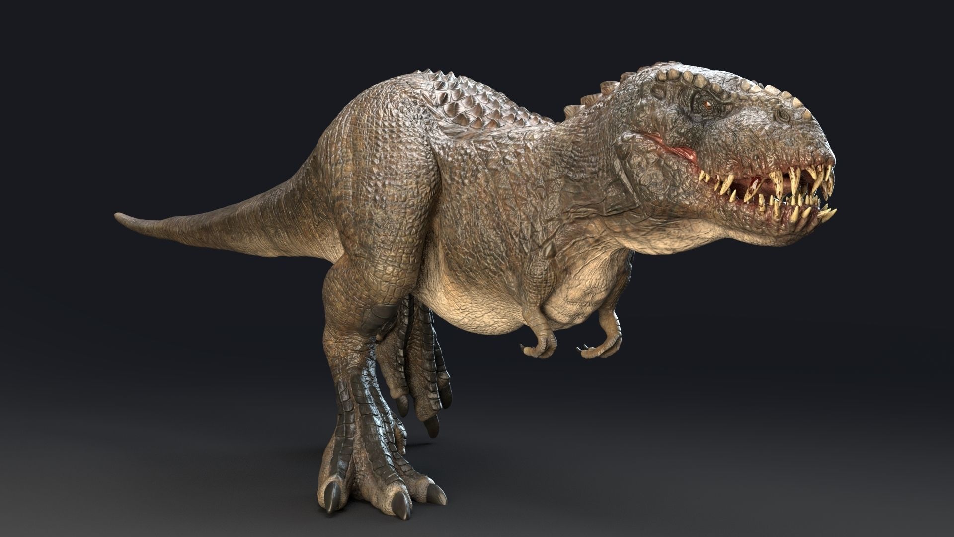 Dinosaur Theropod Rex Model Low-poly 3D model_14