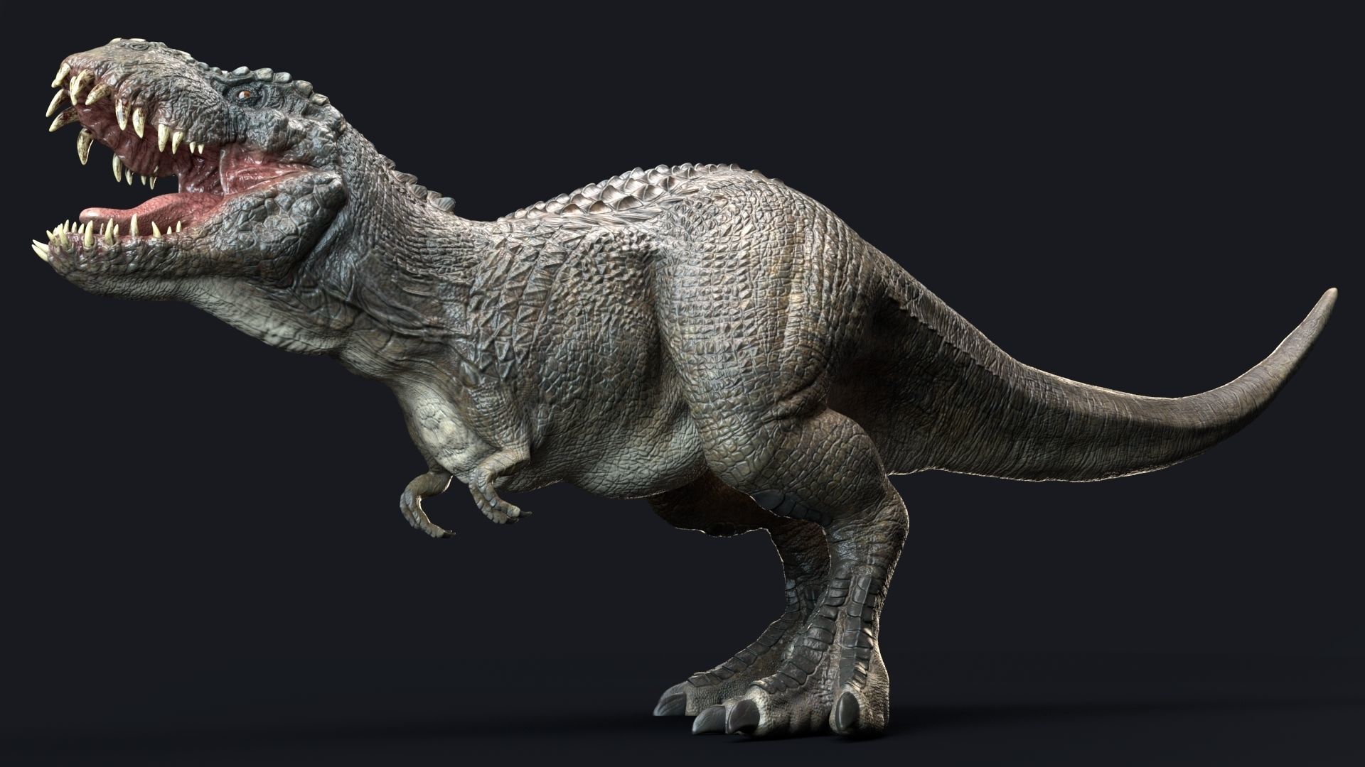 Dinosaur Theropod Rex Model Low-poly 3D model_24