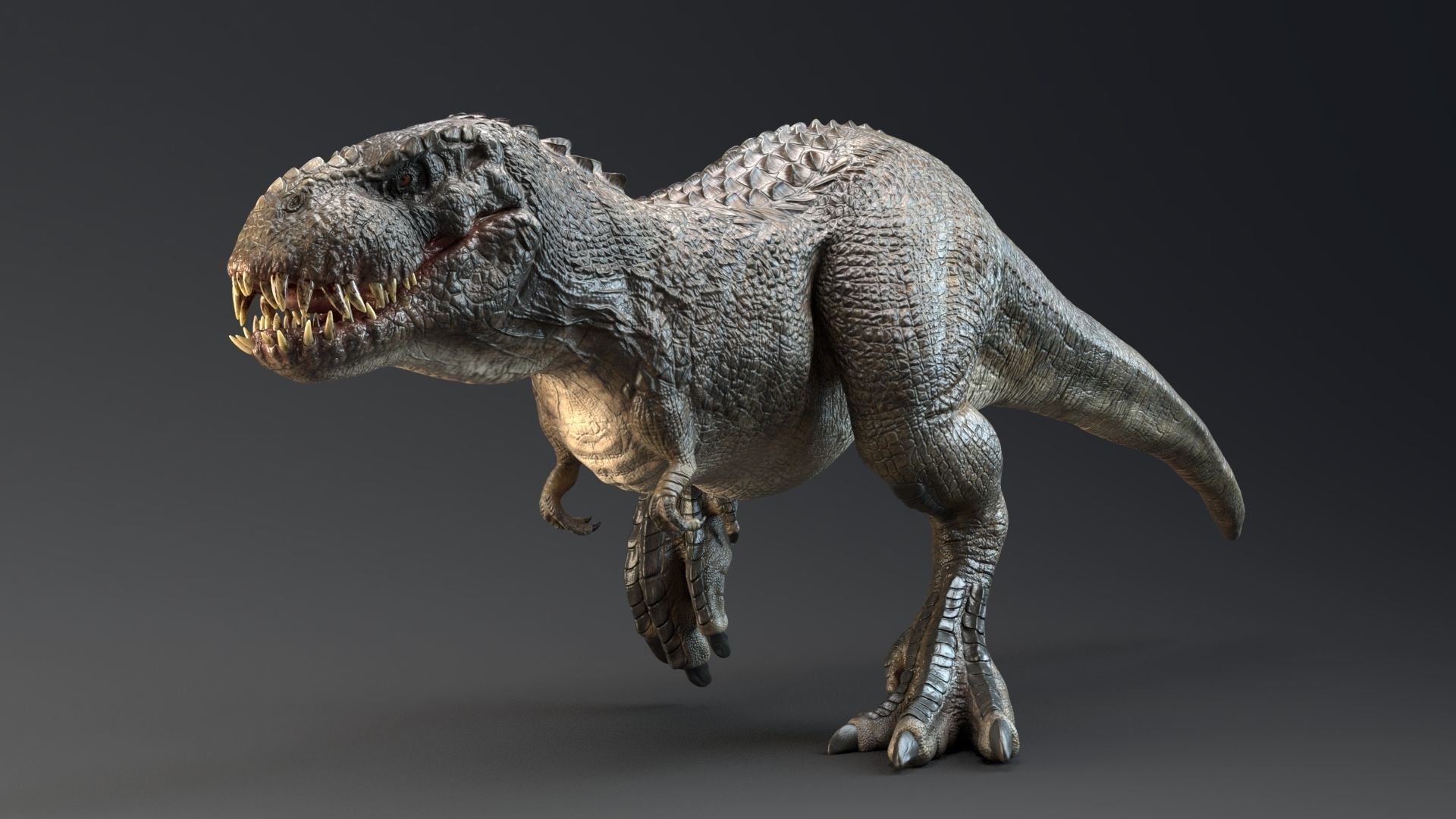 Dinosaur Theropod Rex Model Low-poly 3D model_13