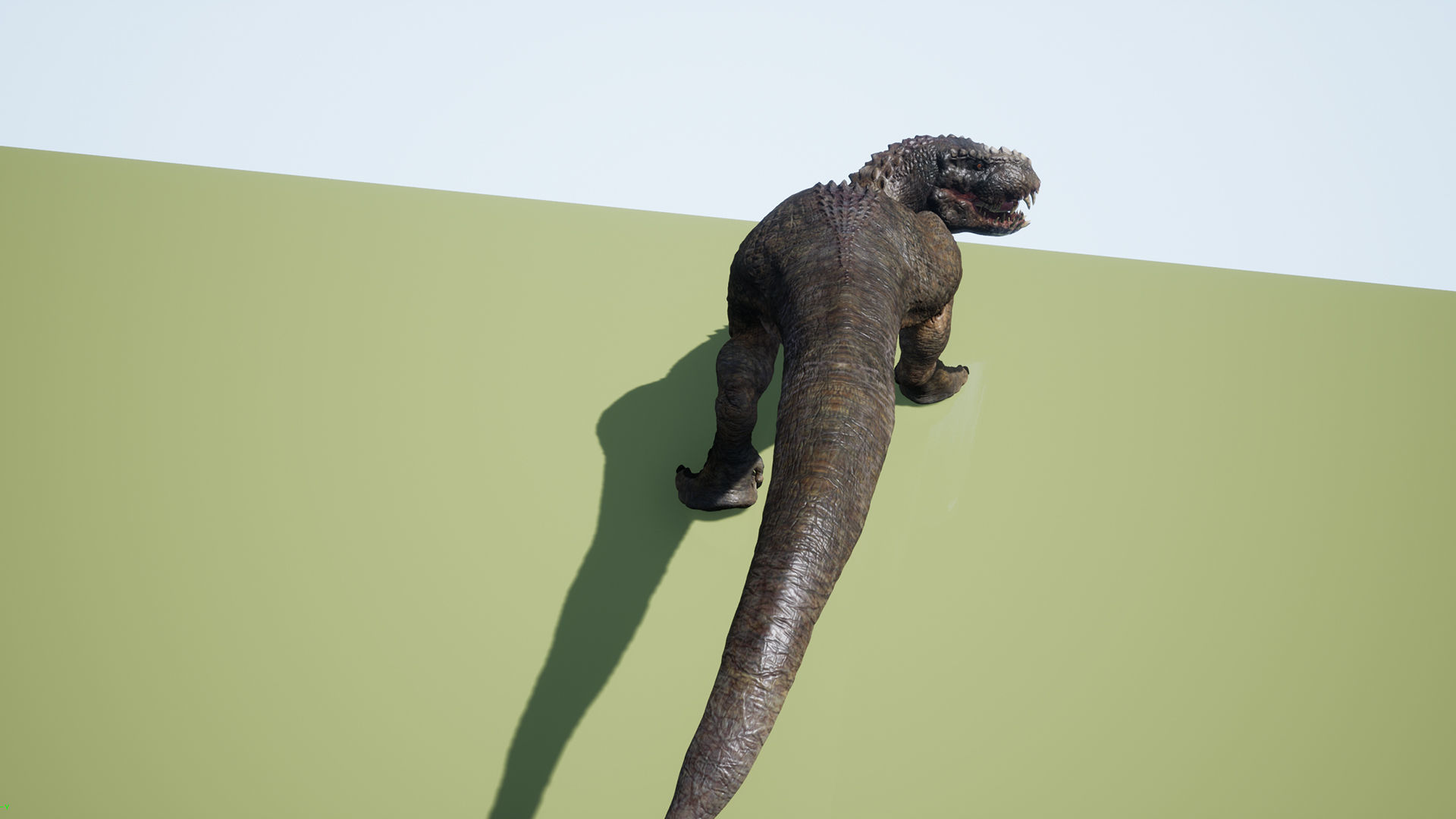 Dinosaur Theropod Rex Model Low-poly 3D model_30