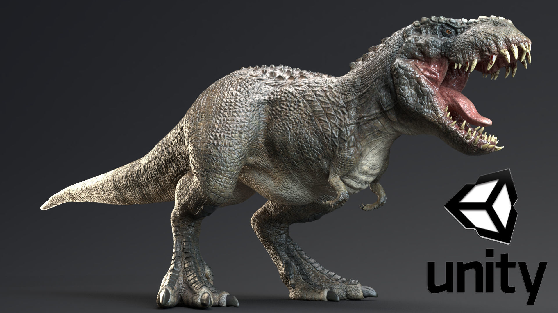 Dinosaur Theropod Rex Model Low-poly 3D model_11