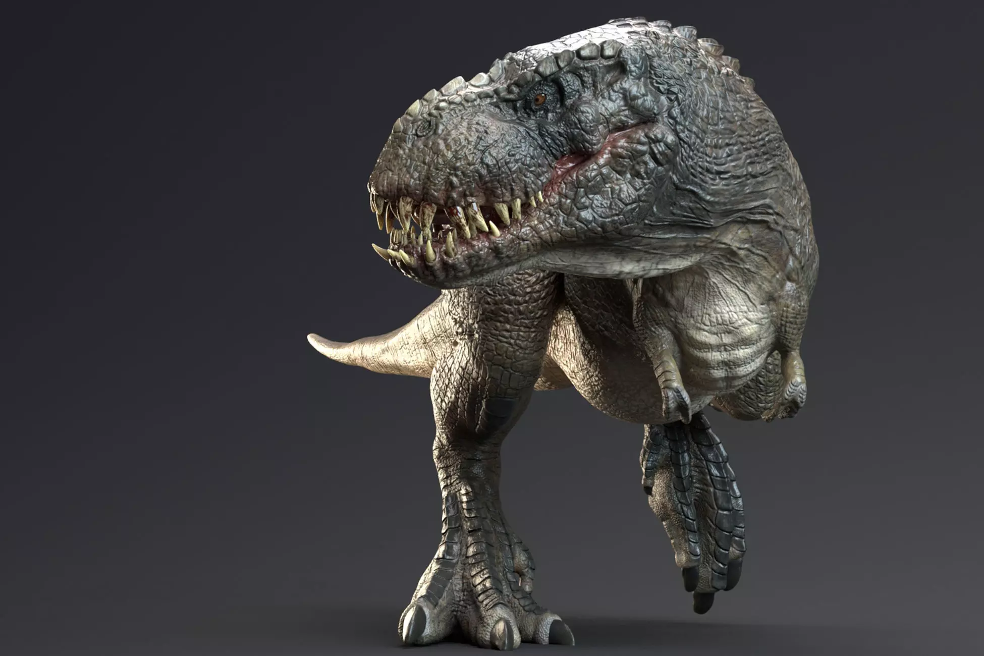 Dinosaur Theropod Rex Model Low-poly 3D model_0