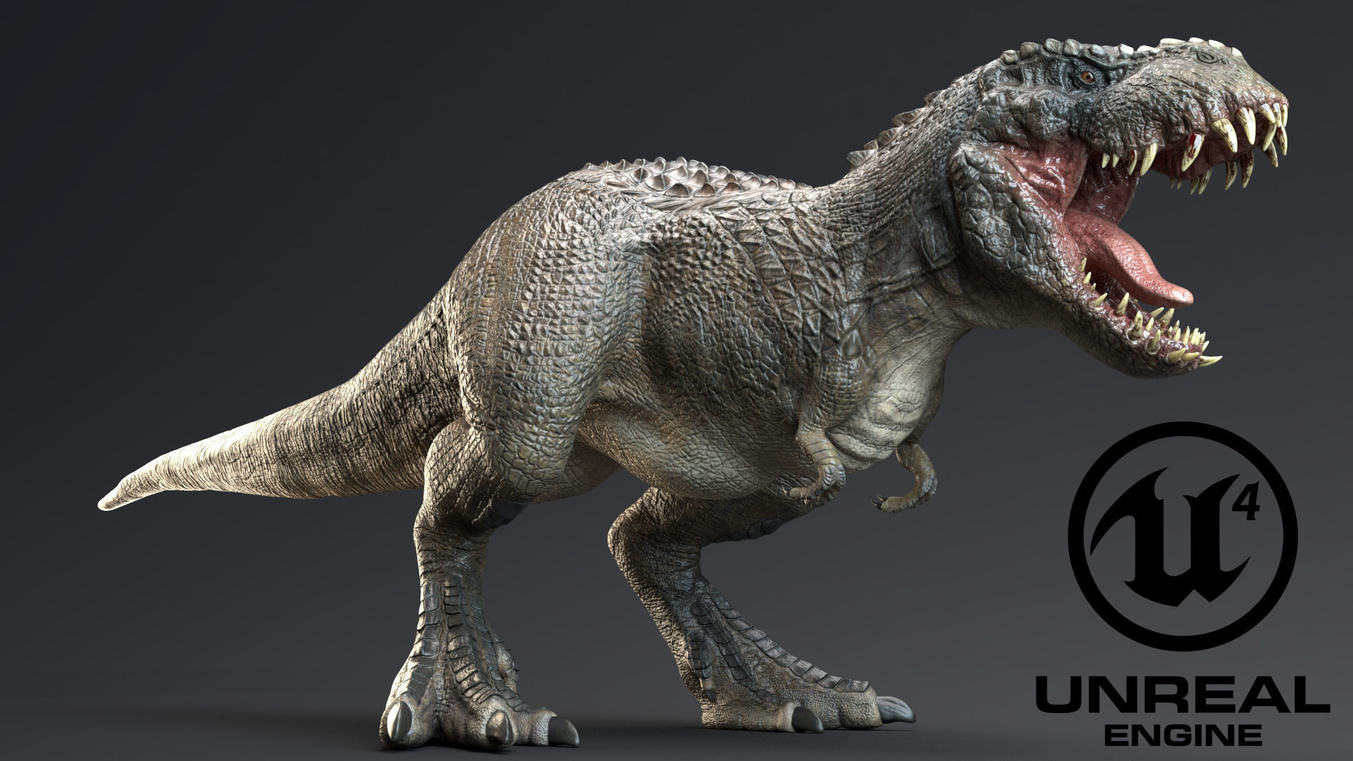 Dinosaur Theropod Rex Model Low-poly 3D model_10