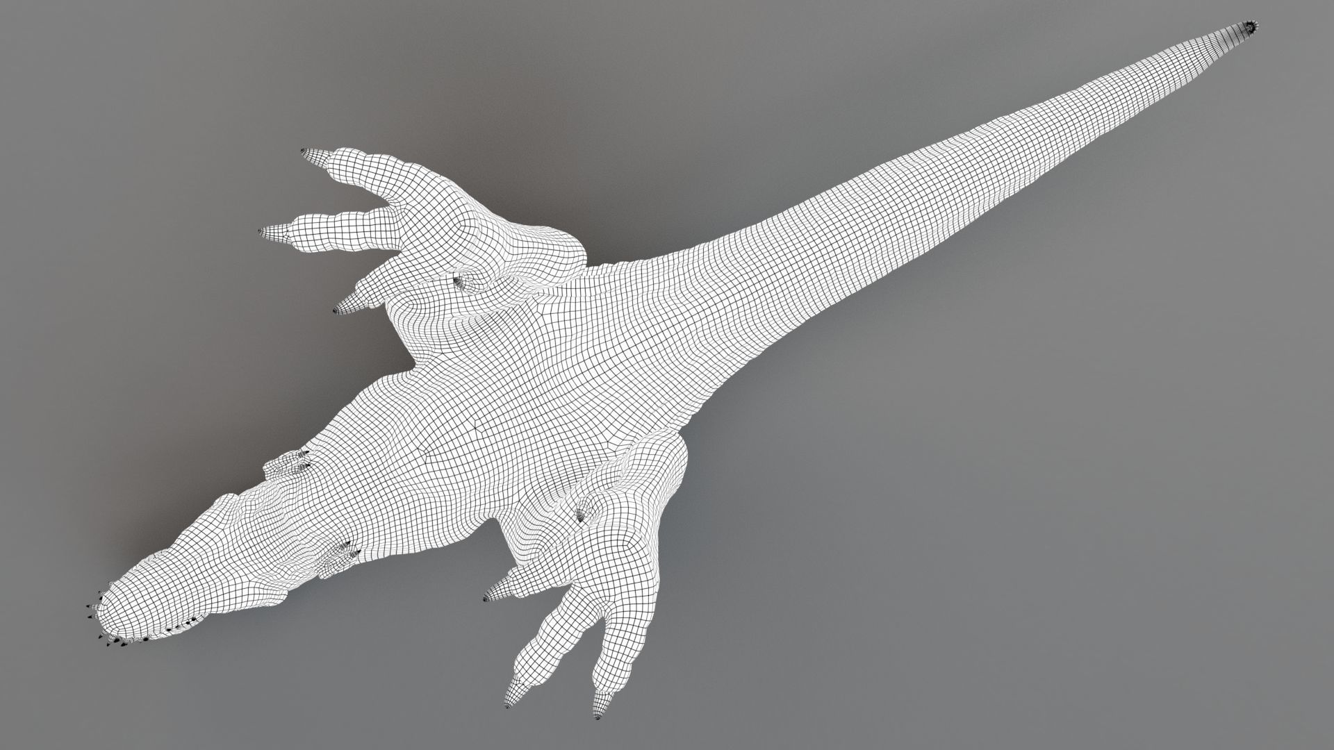 Dinosaur Theropod Rex Model Low-poly 3D model_39