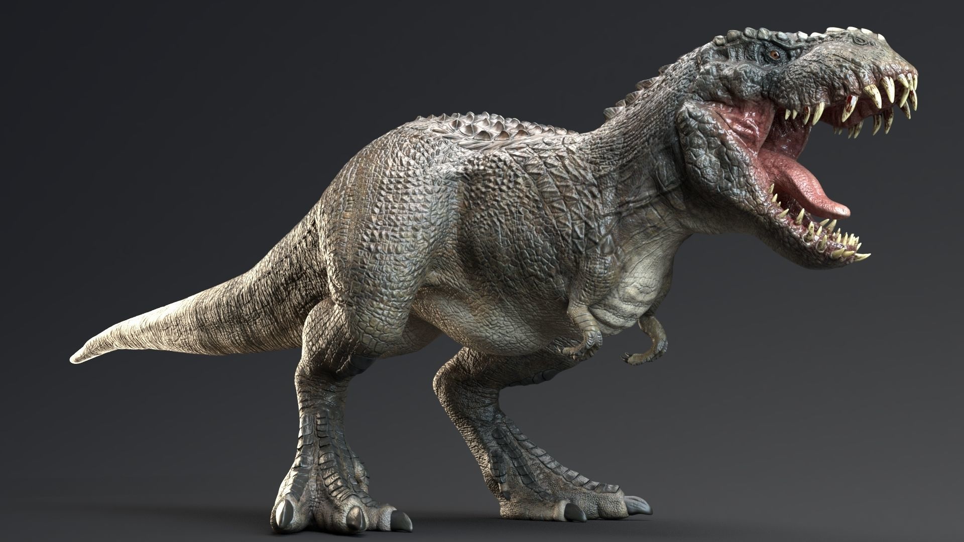 Dinosaur Theropod Rex Model Low-poly 3D model_9