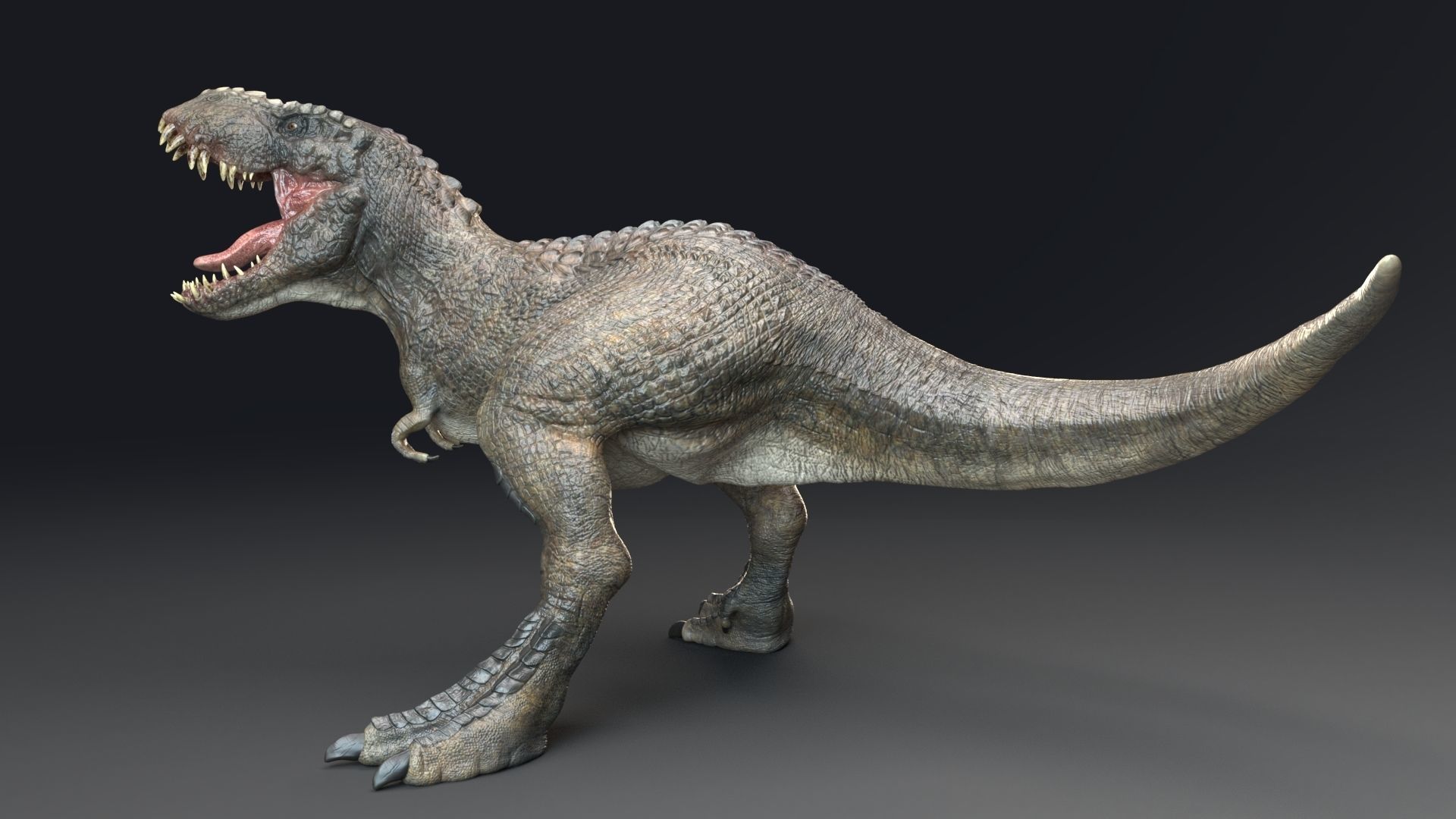 Dinosaur Theropod Rex Model Low-poly 3D model_6