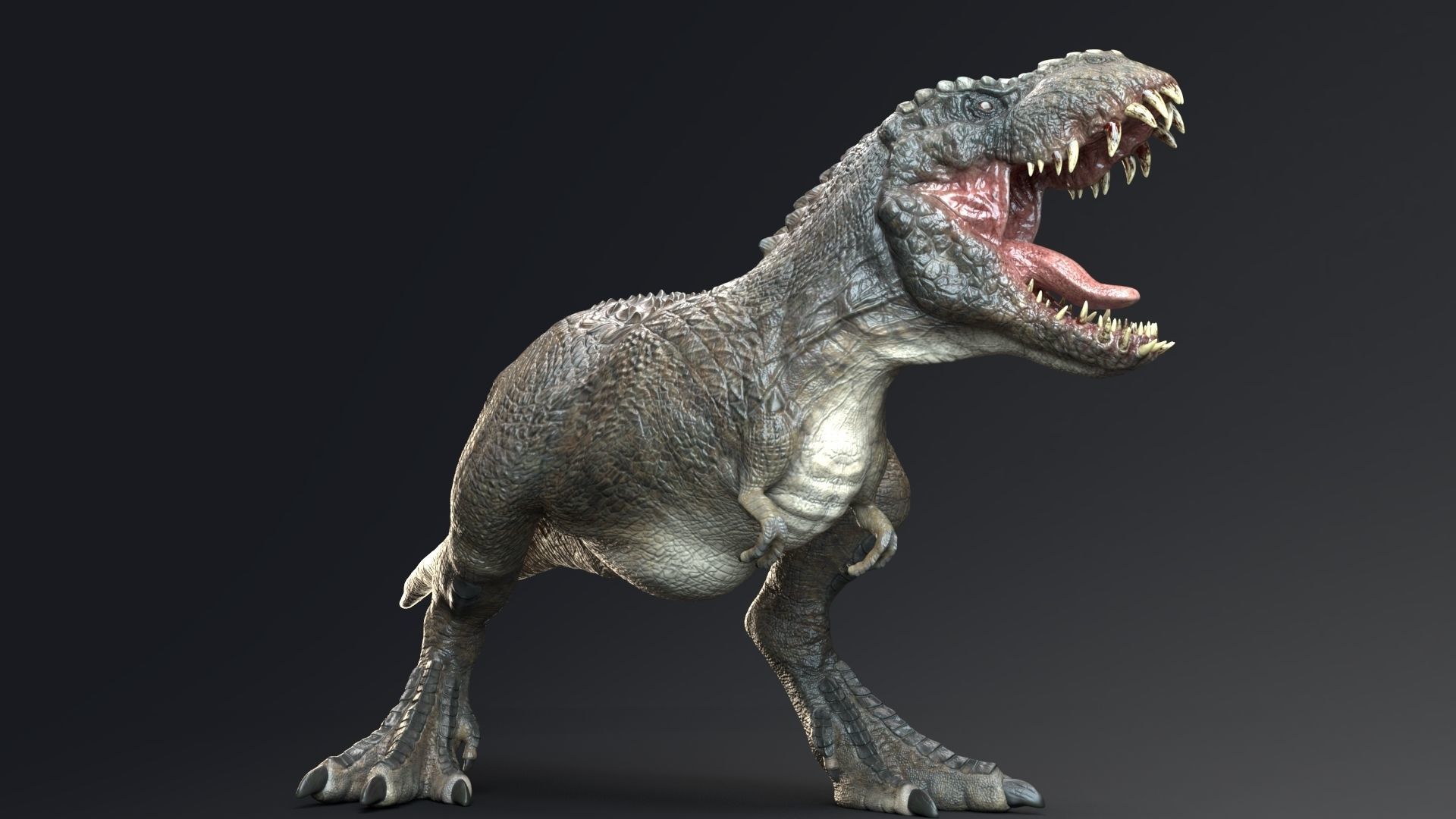 Dinosaur Theropod Rex Model Low-poly 3D model_4