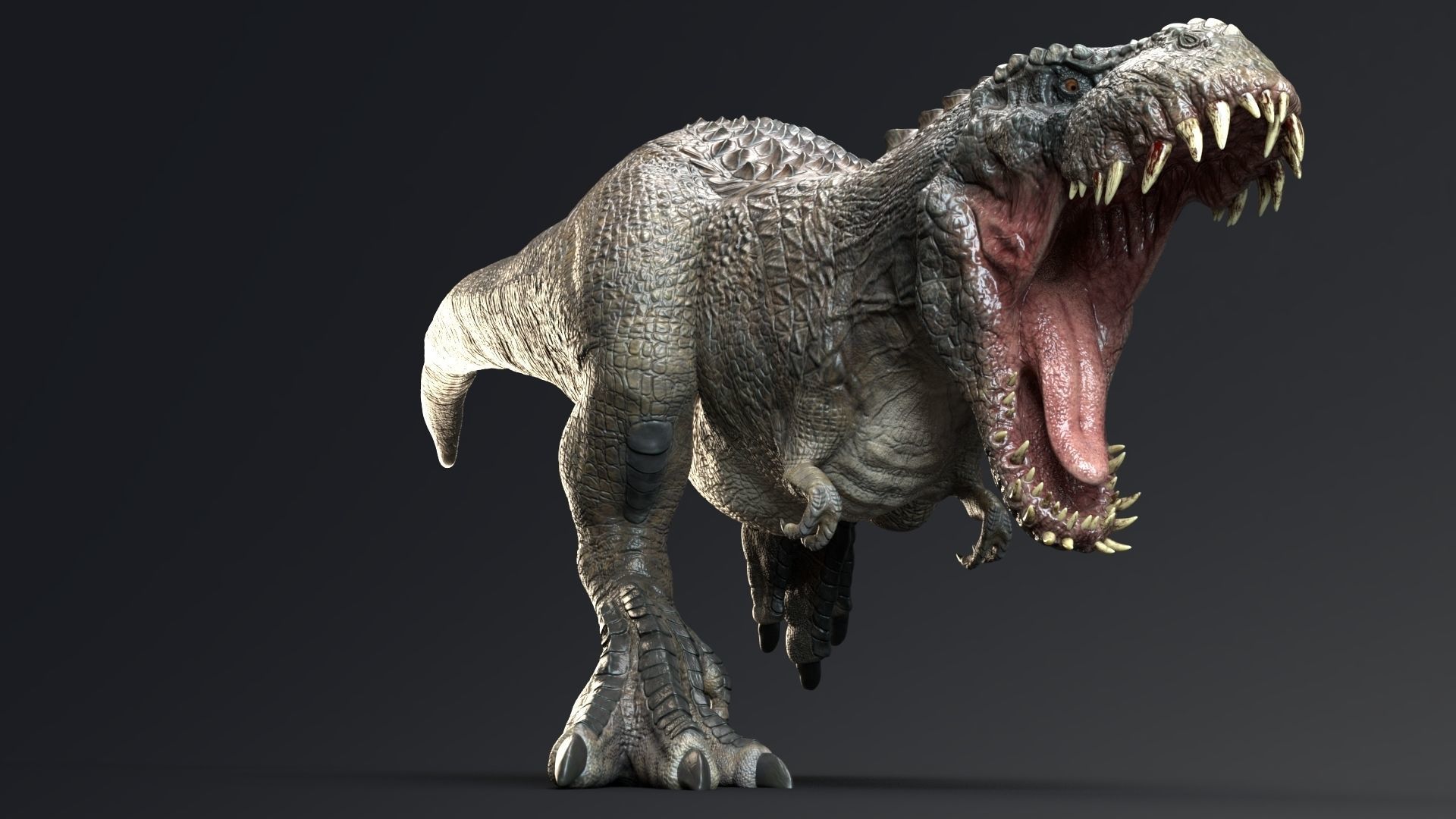 Dinosaur Theropod Rex Model Low-poly 3D model_27