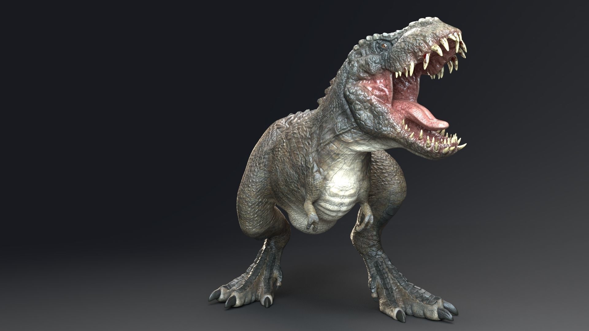 Dinosaur Theropod Rex Model Low-poly 3D model_5