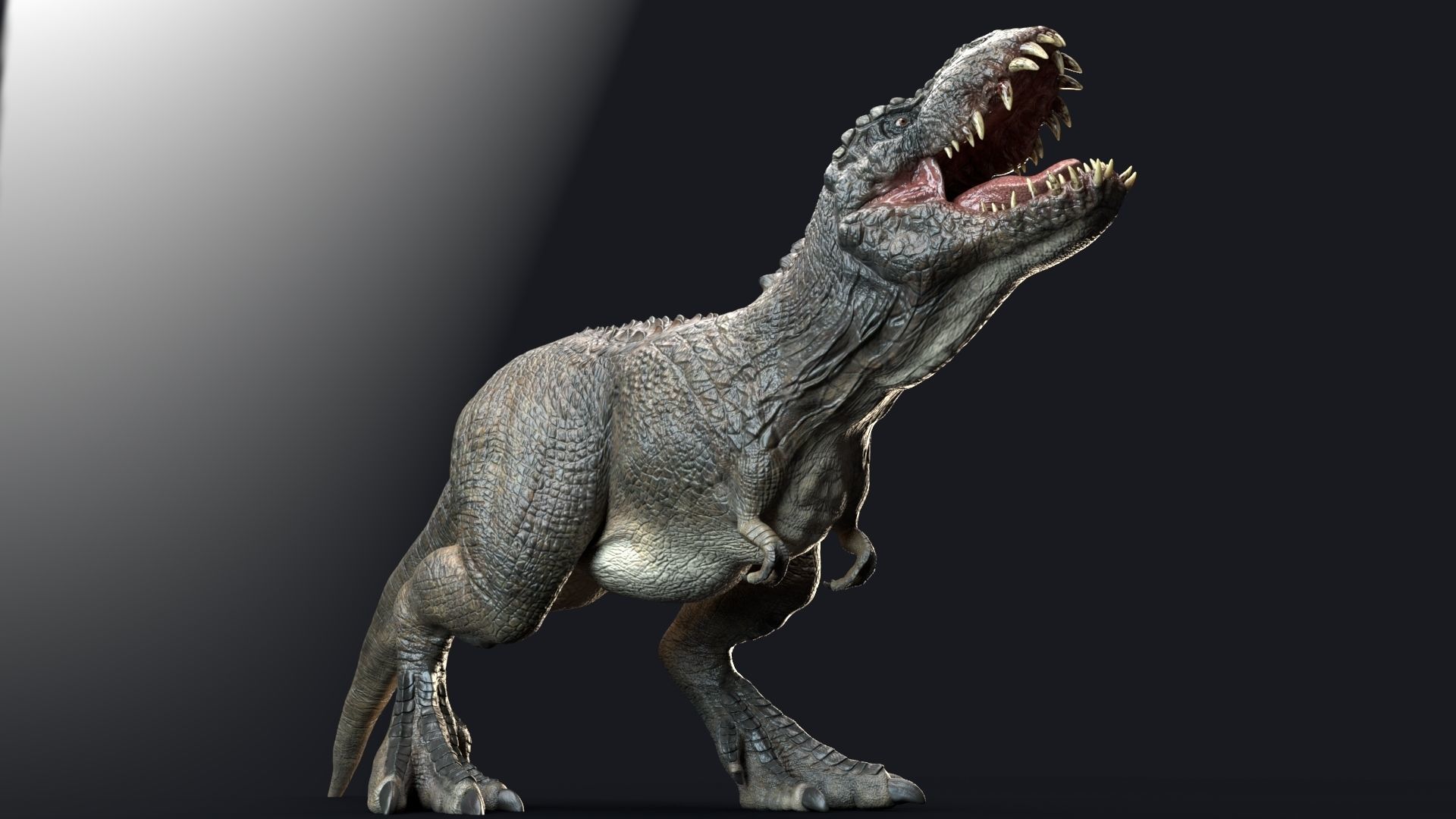 Dinosaur Theropod Rex Model Low-poly 3D model_23