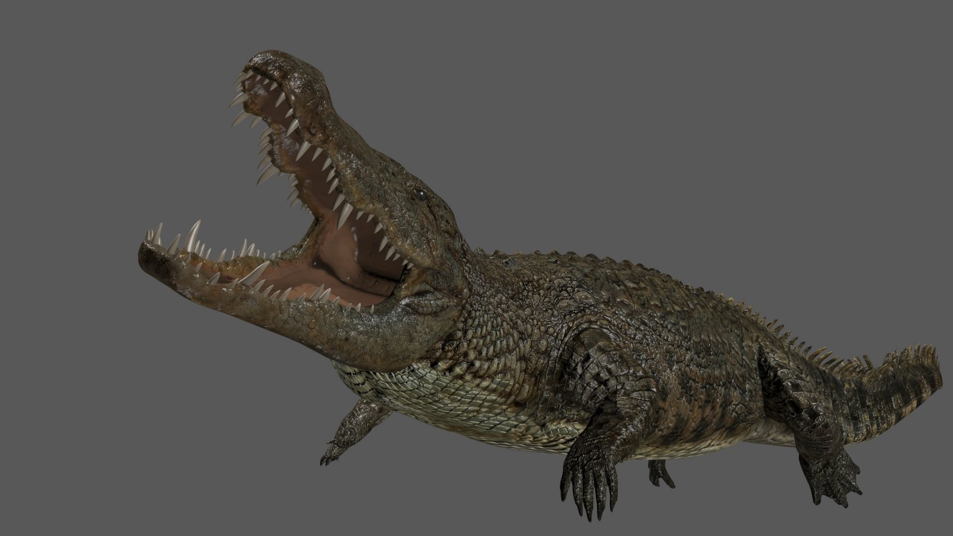 Crocodile PRO - 8K 3D Animated Crocodile Model   3D model_9