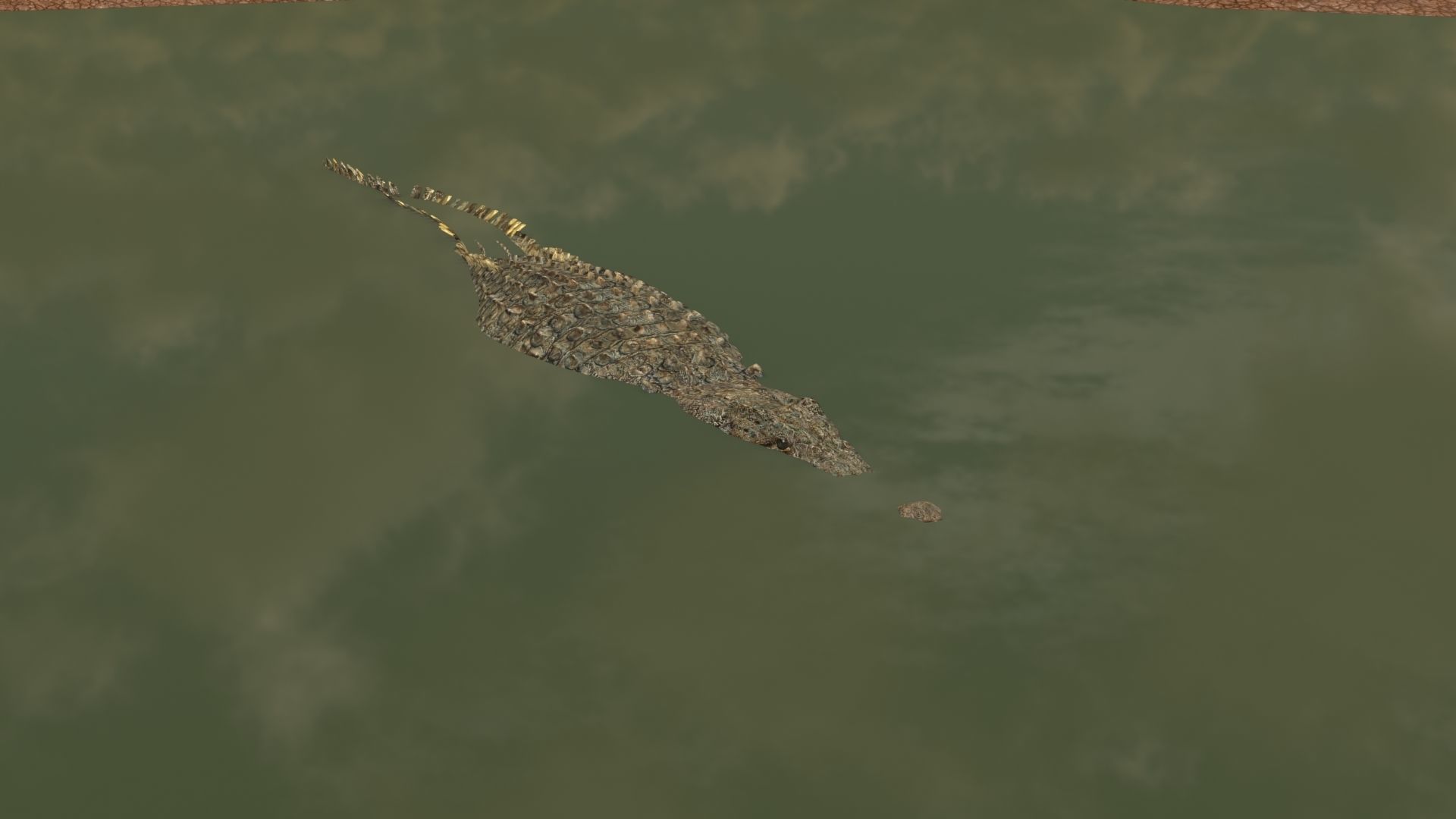 Crocodile PRO - 8K 3D Animated Crocodile Model   3D model_28