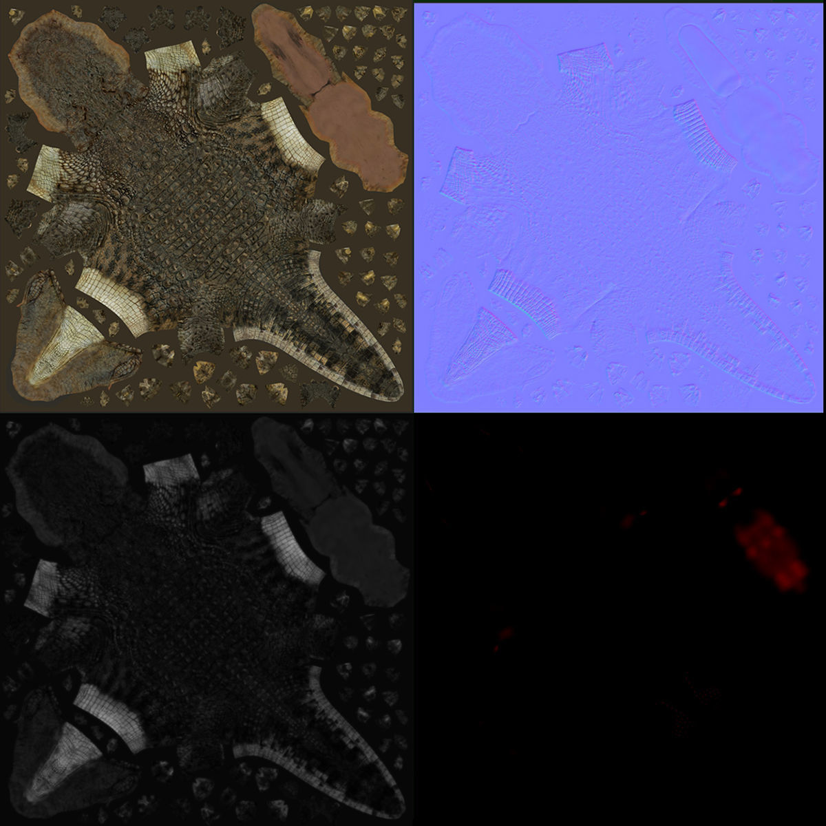 Crocodile PRO - 8K 3D Animated Crocodile Model   3D model_35