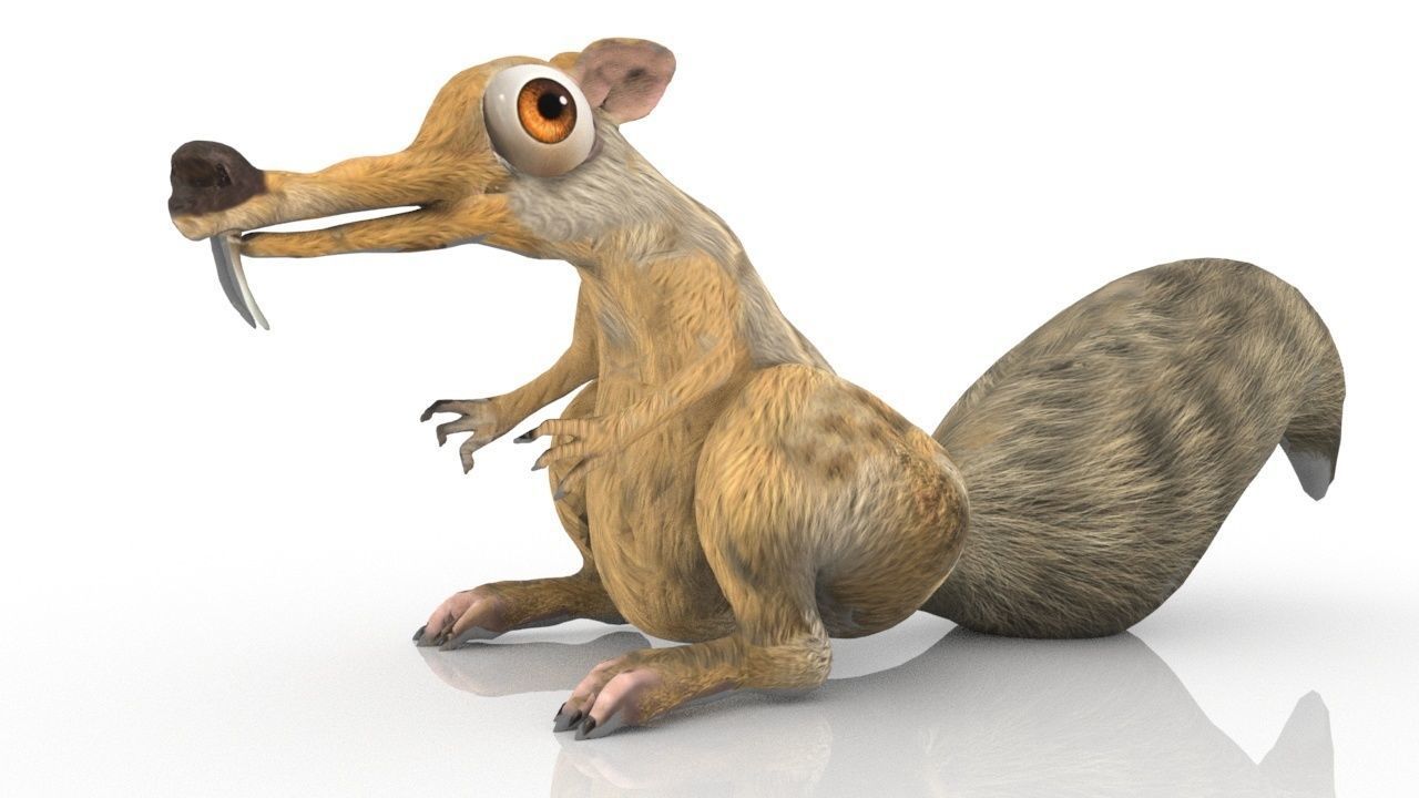 squirrel 3D model_9