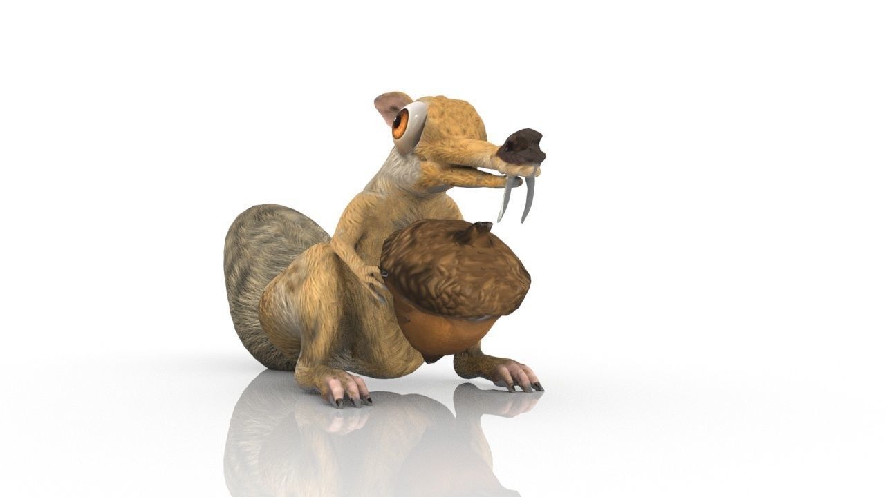 squirrel 3D model_13