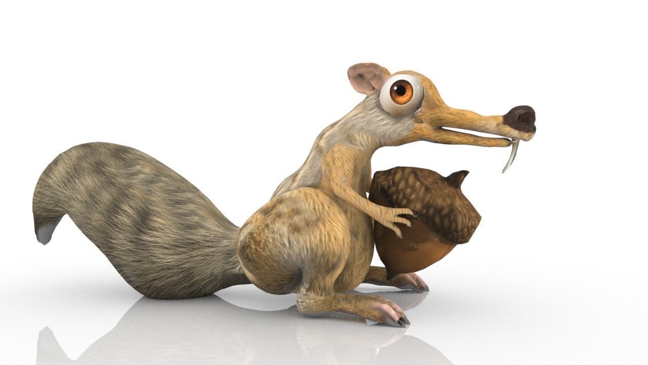 squirrel 3D model_3