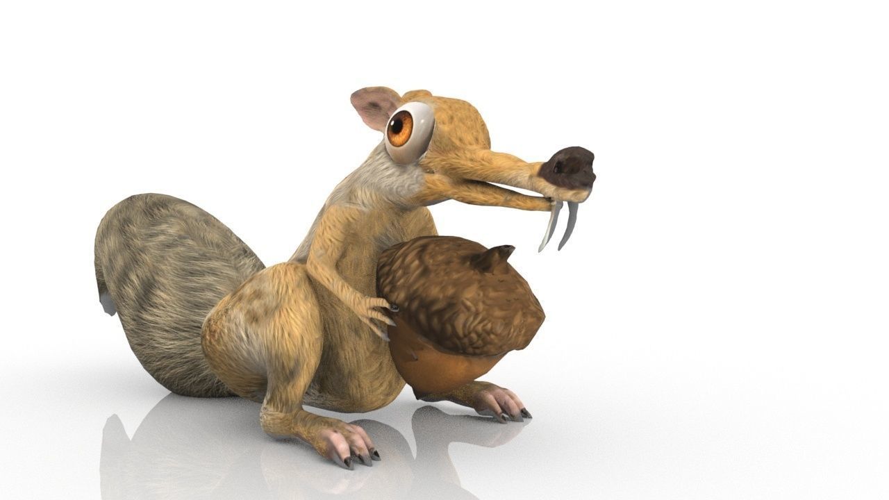 squirrel 3D model_15