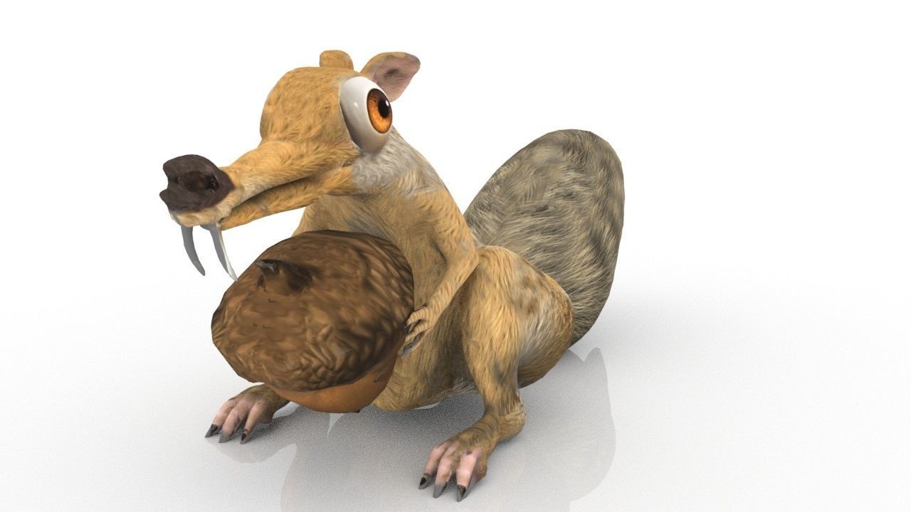 squirrel 3D model_14