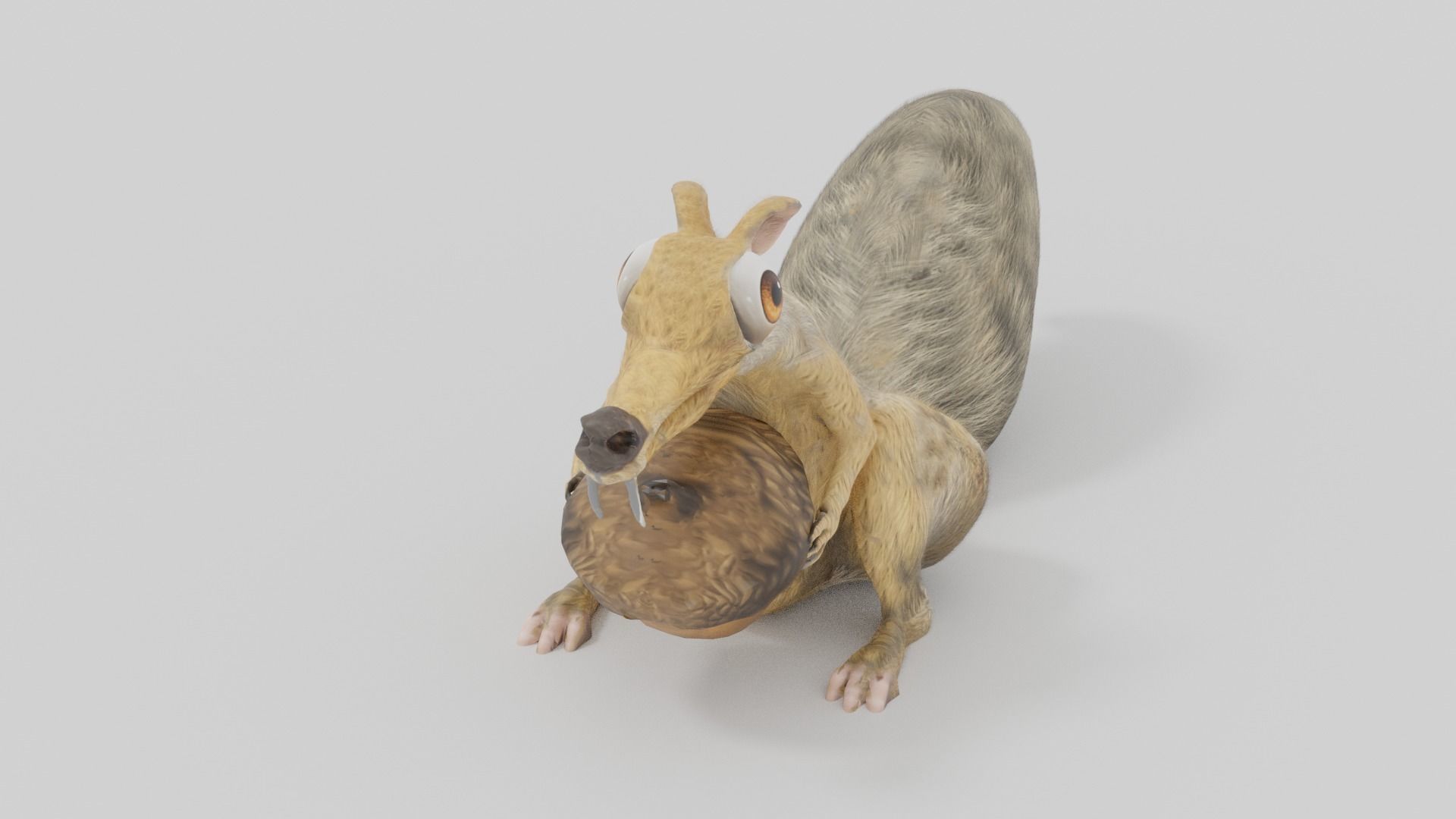 squirrel 3D model_5
