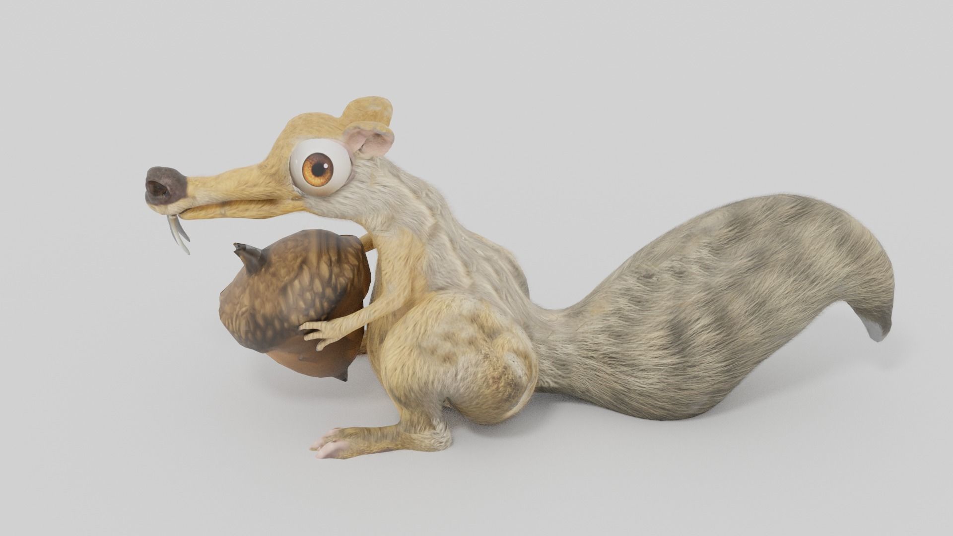 squirrel 3D model_6