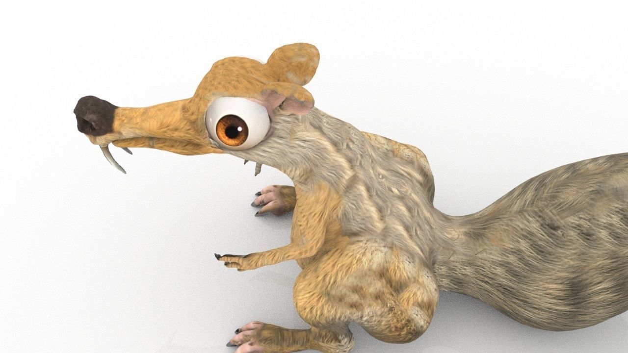 squirrel 3D model_12
