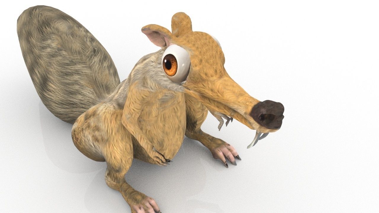 squirrel 3D model_11