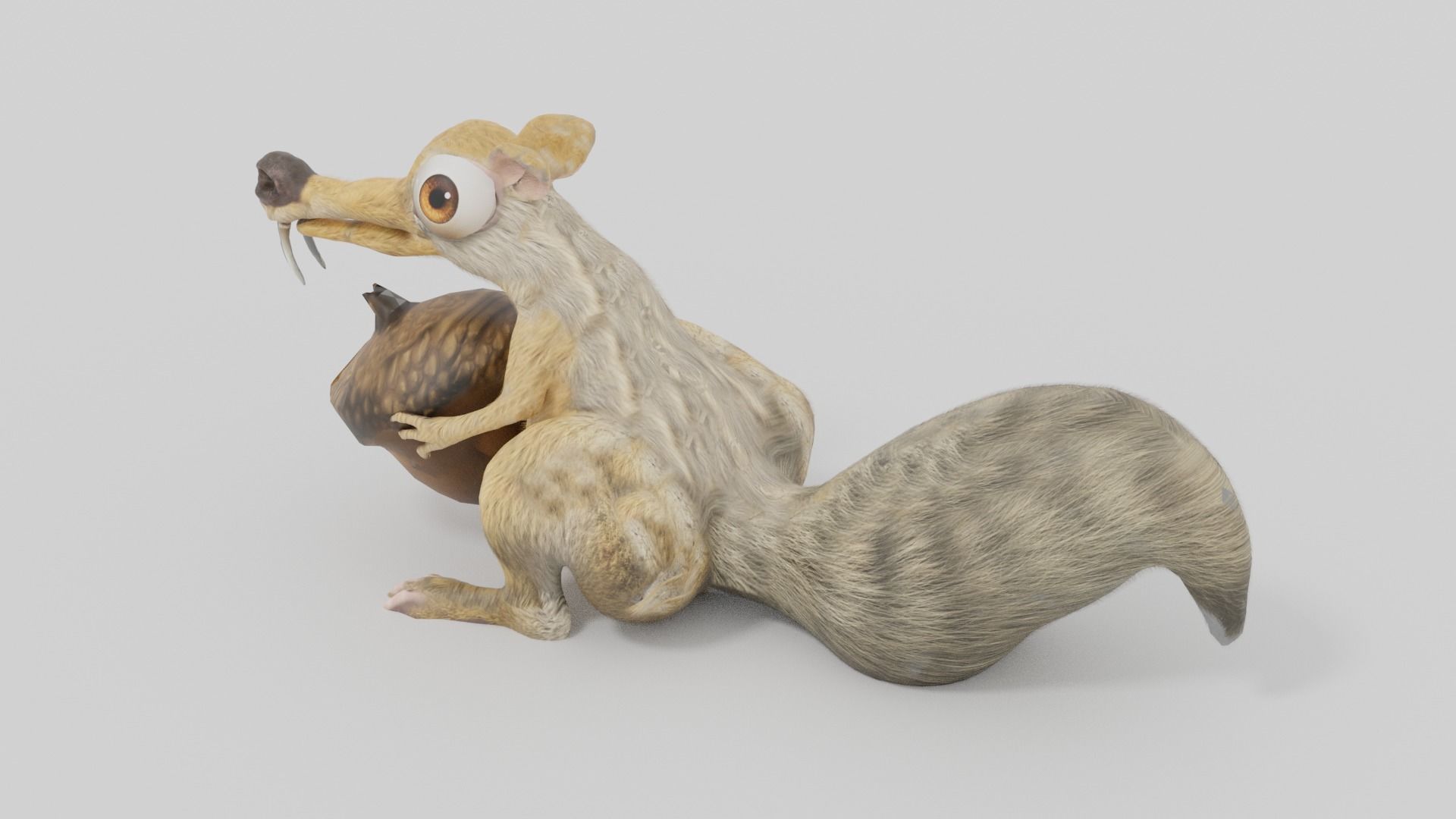 squirrel 3D model_7