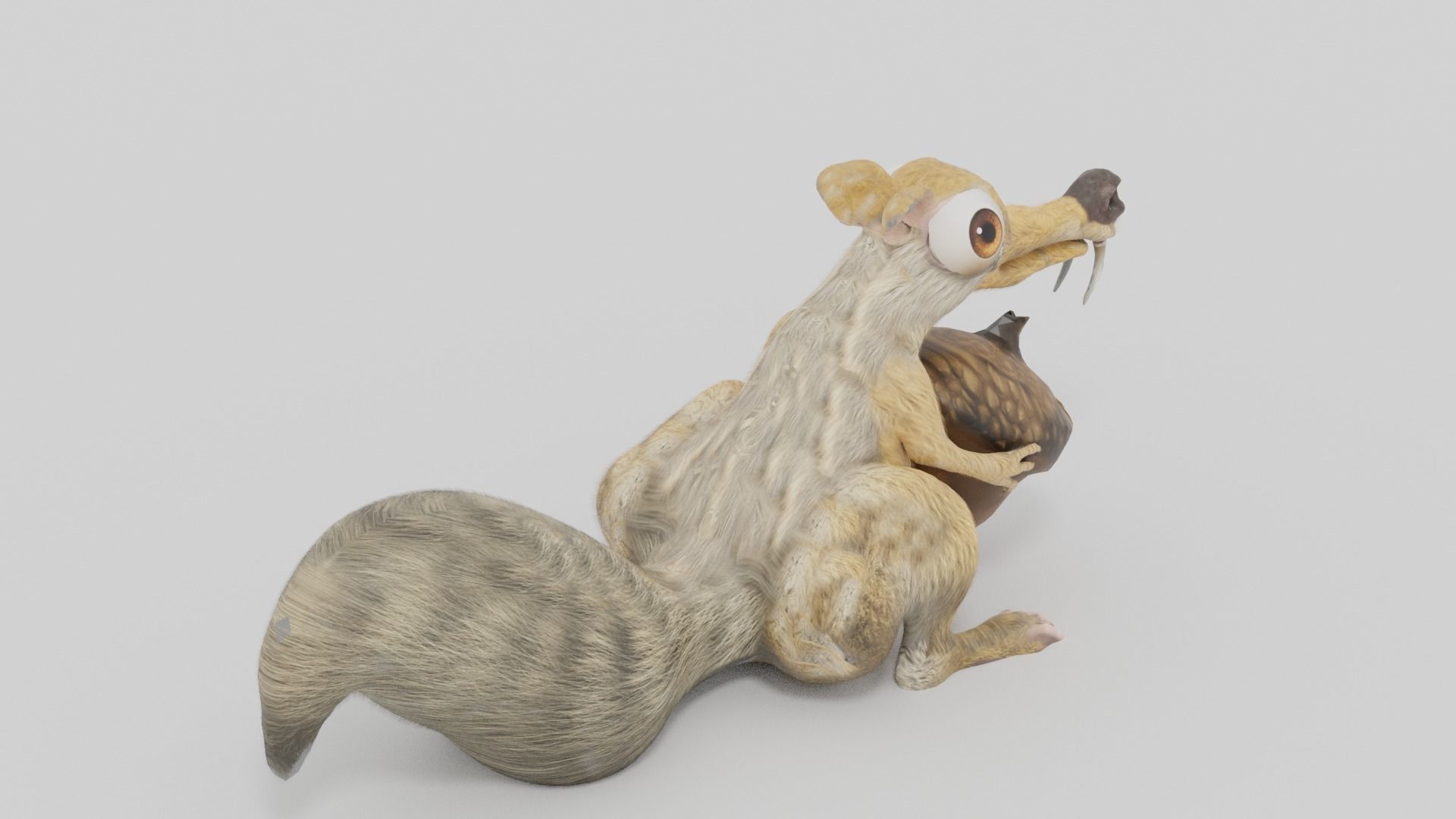 squirrel 3D model_8