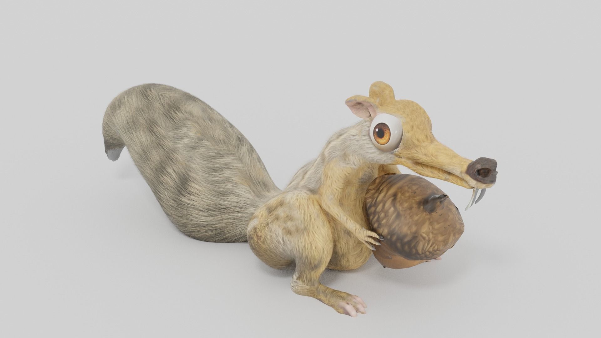 squirrel 3D model_4