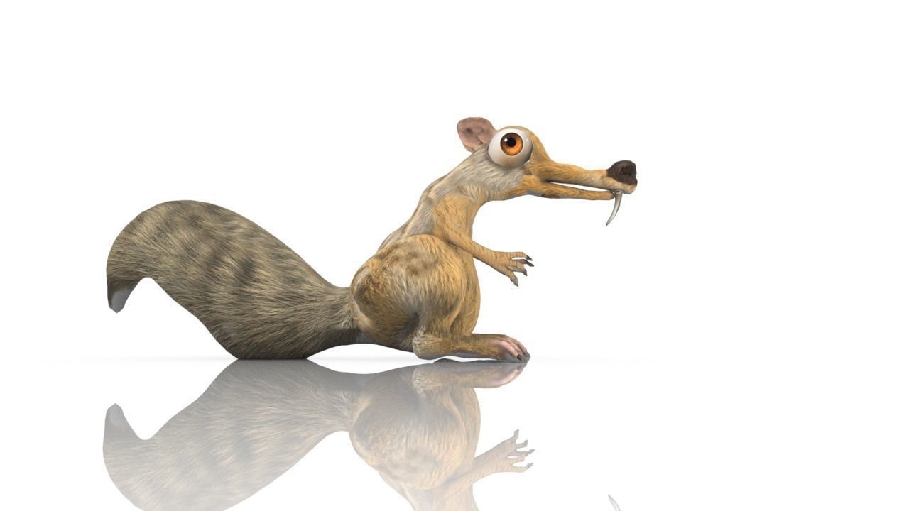 squirrel 3D model_10