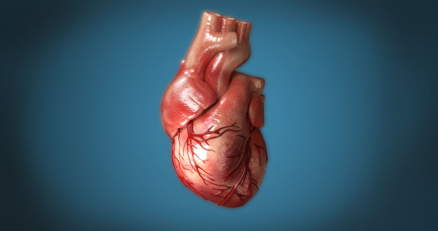 Human Heart 3D model_1